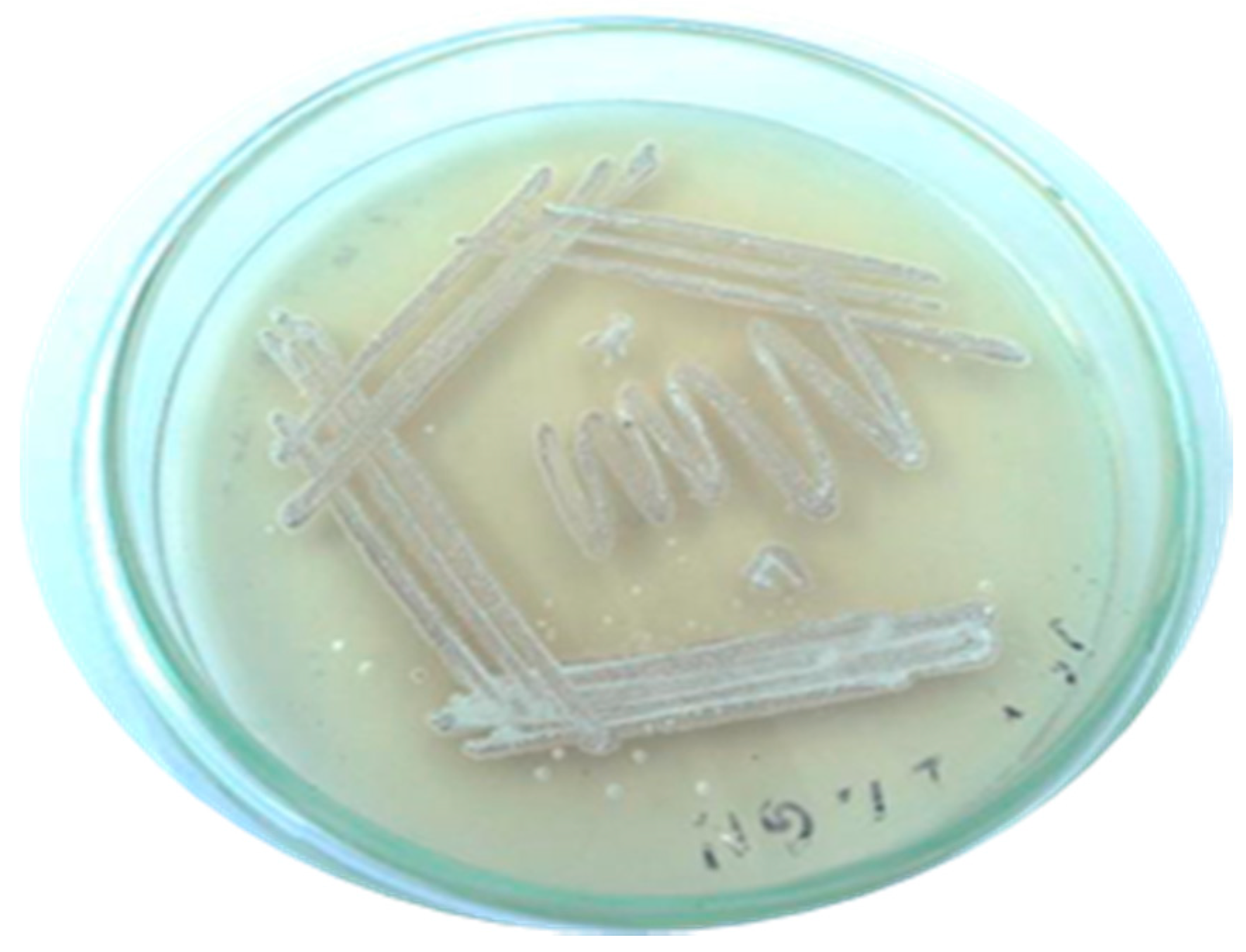 Marinedrugs 17 00164 g002 Marinedrugs 17 00164 g002