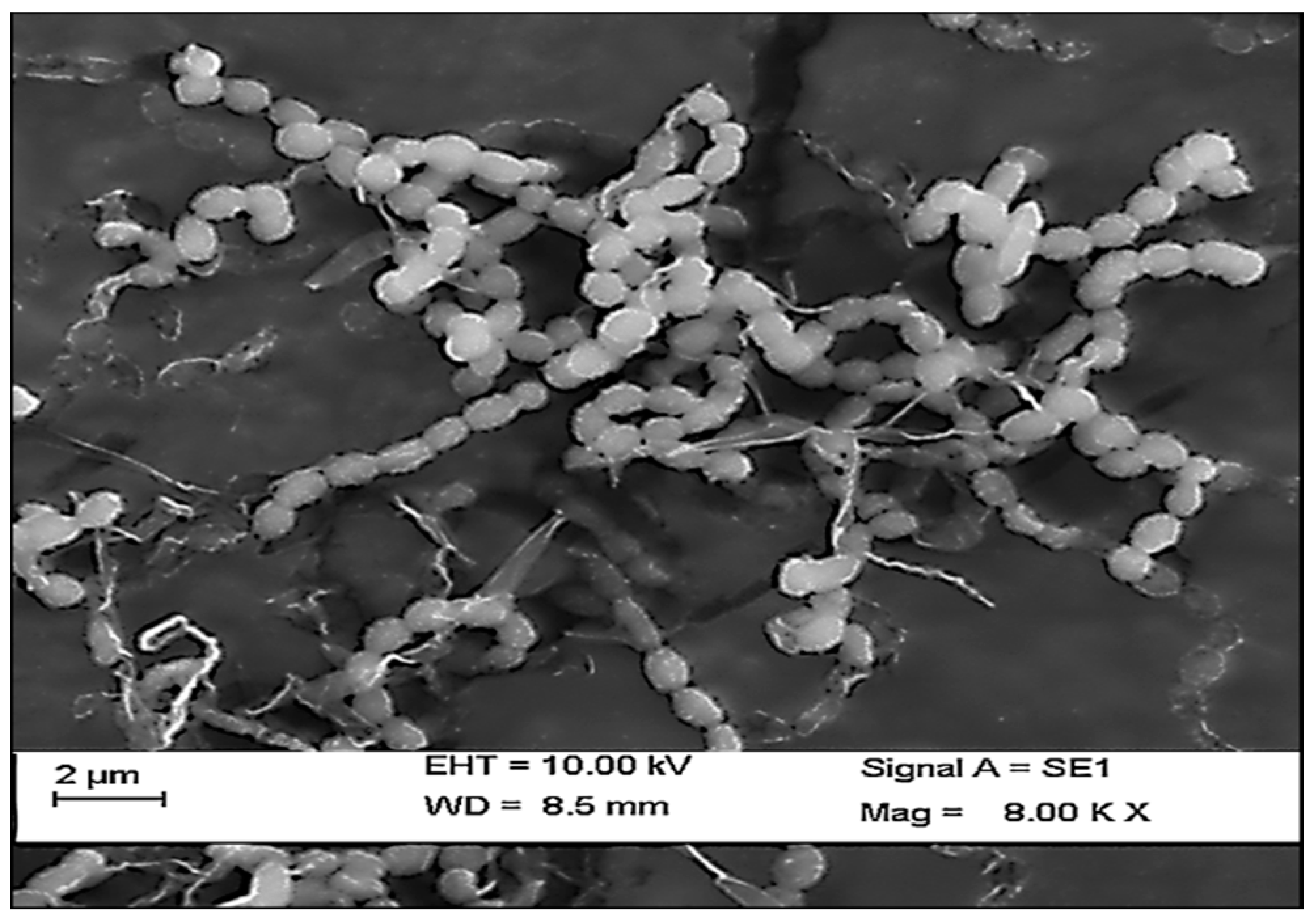 Marinedrugs 17 00164 g003 Marinedrugs 17 00164 g003