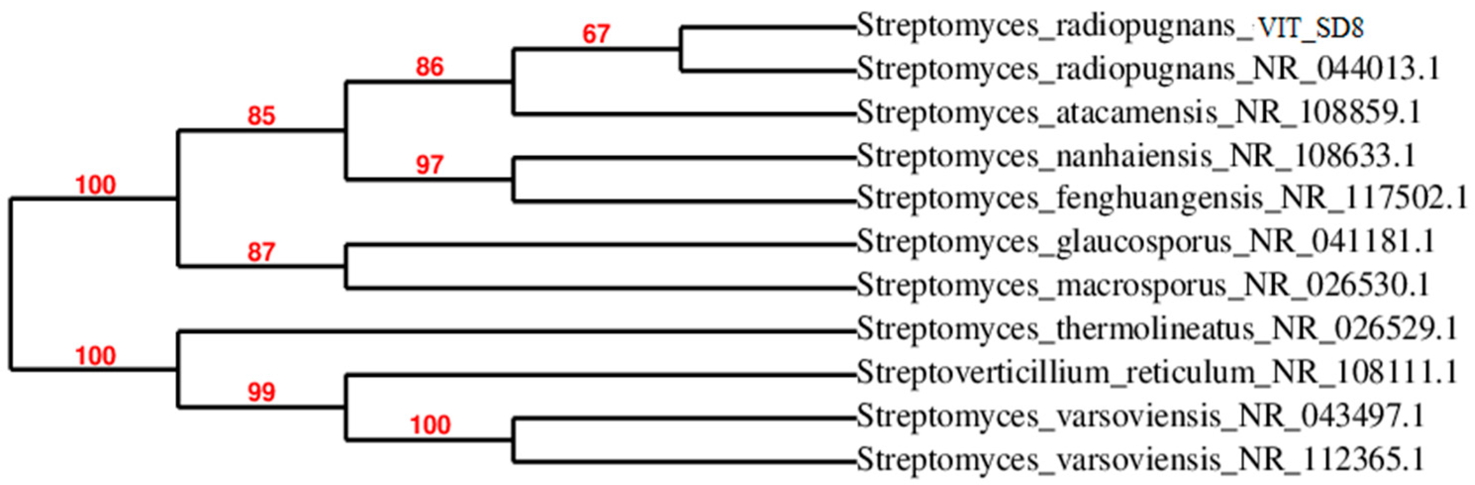 Marinedrugs 17 00164 g004 Marinedrugs 17 00164 g004