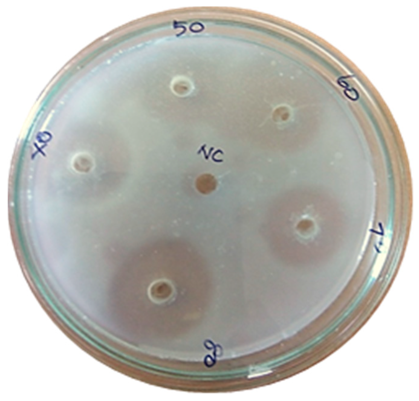 Marinedrugs 17 00164 g009 Marinedrugs 17 00164 g009