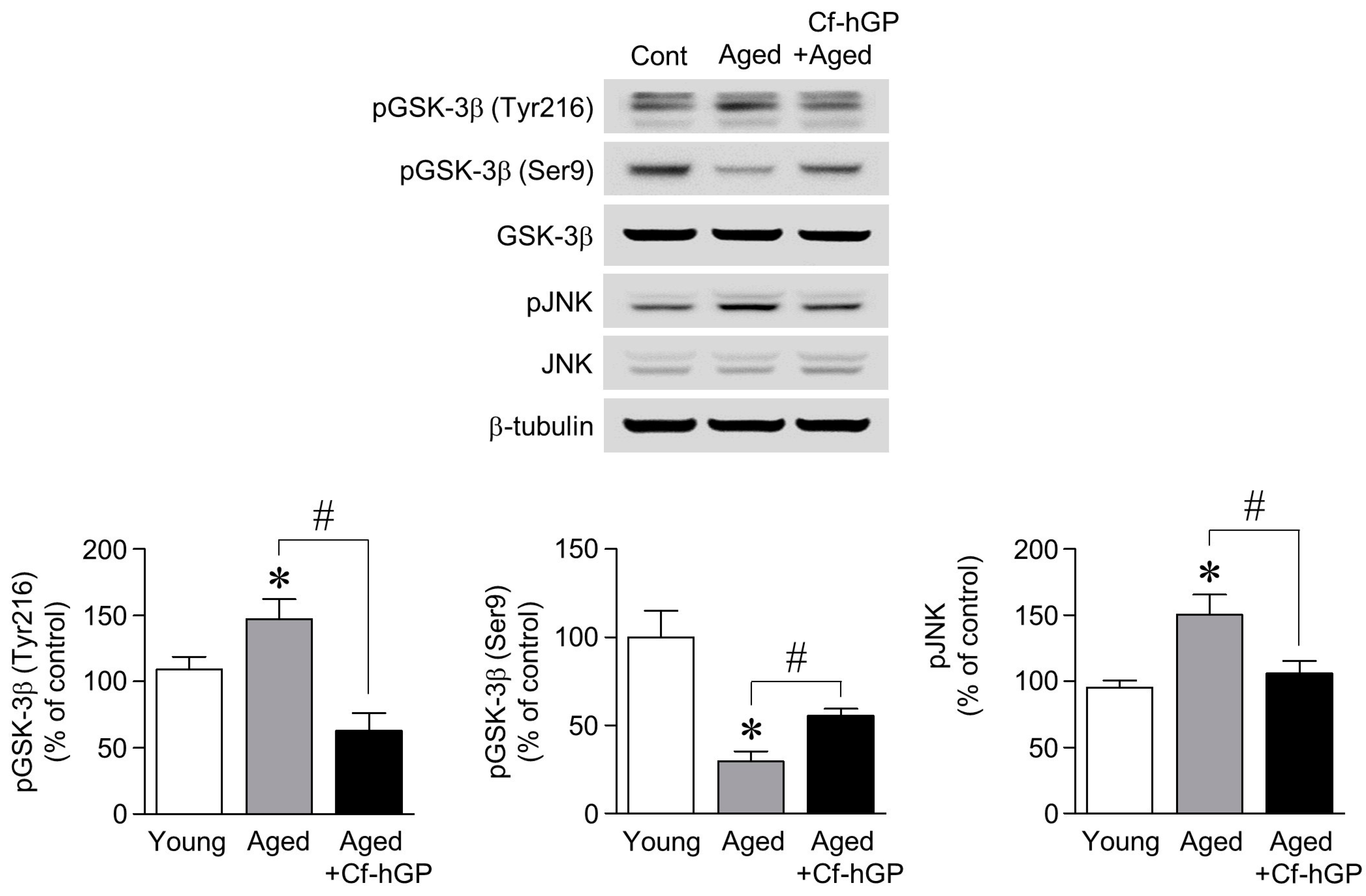 Marinedrugs 17 00168 g003