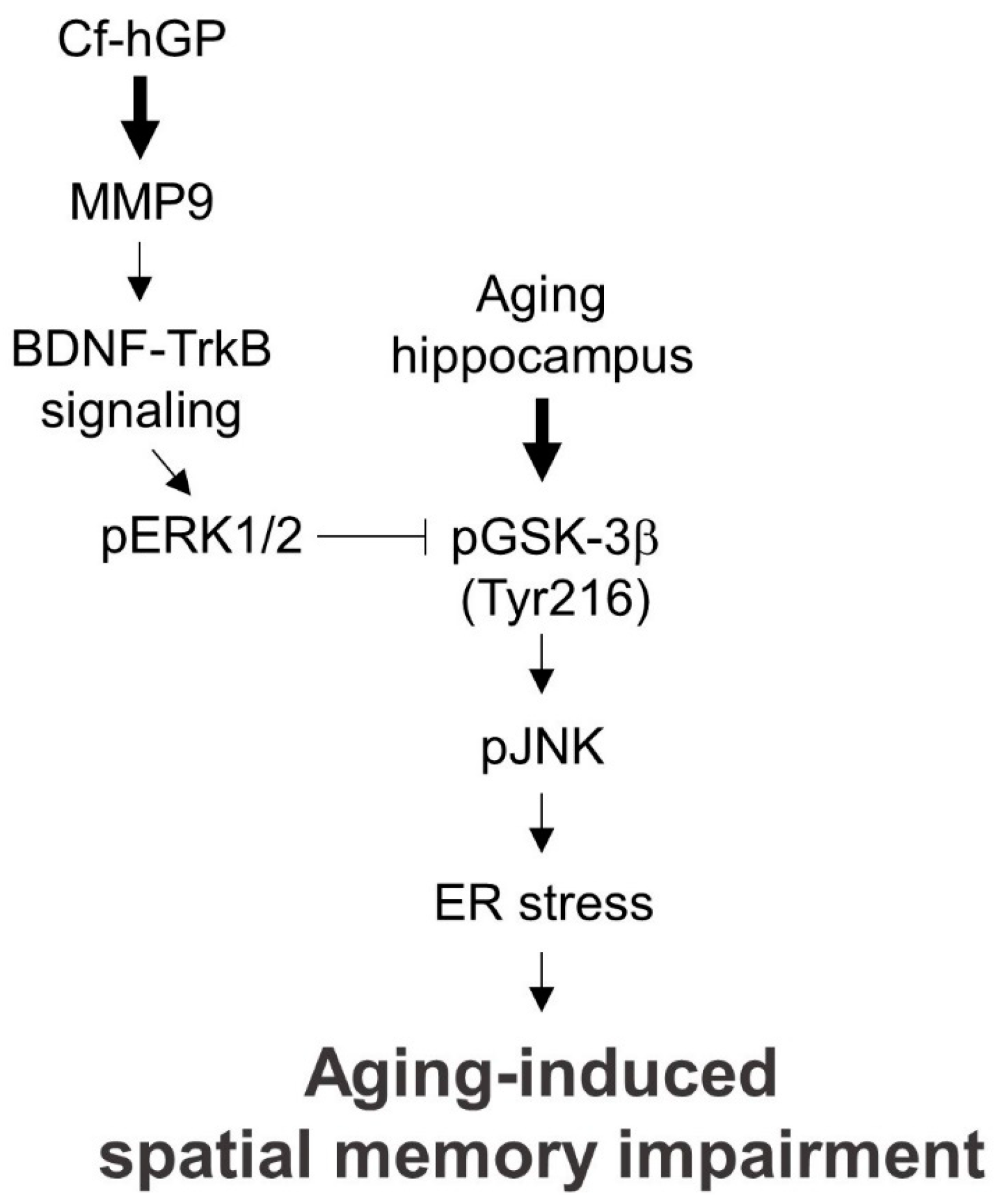 Marinedrugs 17 00168 g007