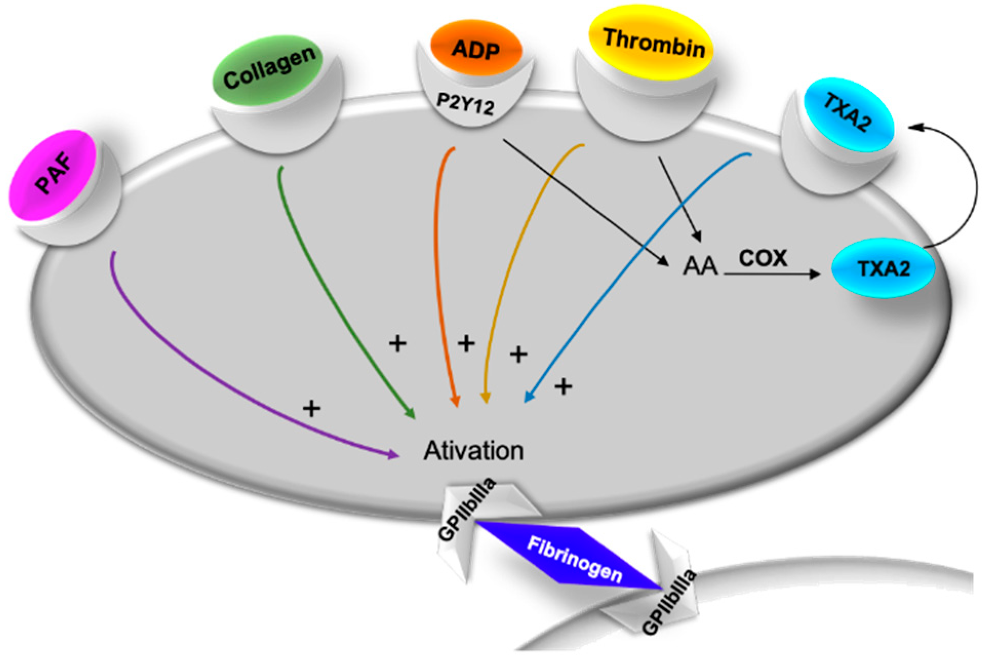 Marinedrugs 17 00170 g002 Marinedrugs 17 00170 g002