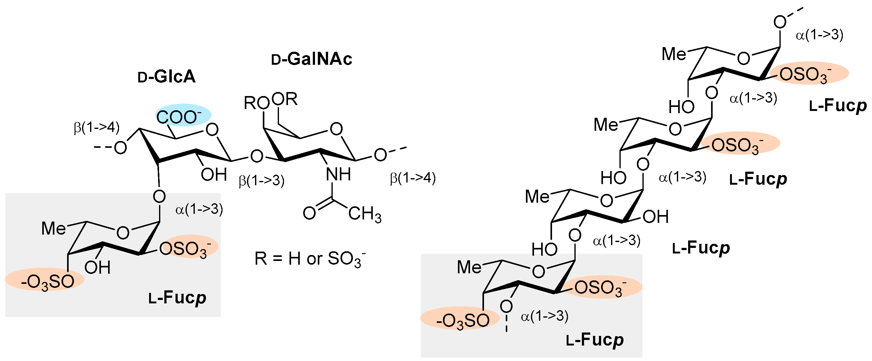 Marinedrugs 17 00170 g005 Marinedrugs 17 00170 g005