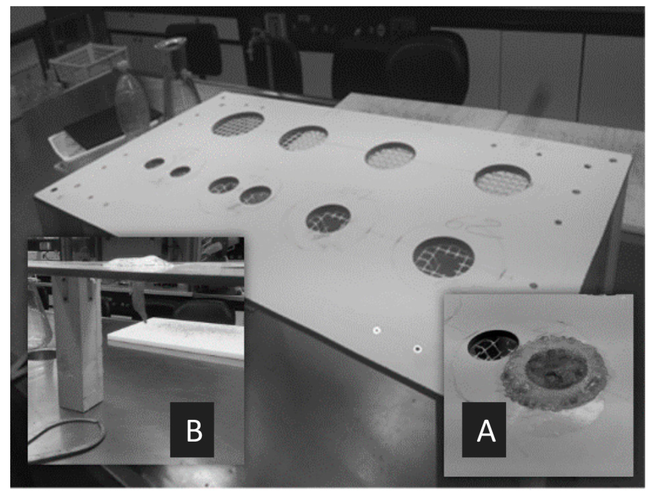 Marinedrugs 17 00172 g005 550