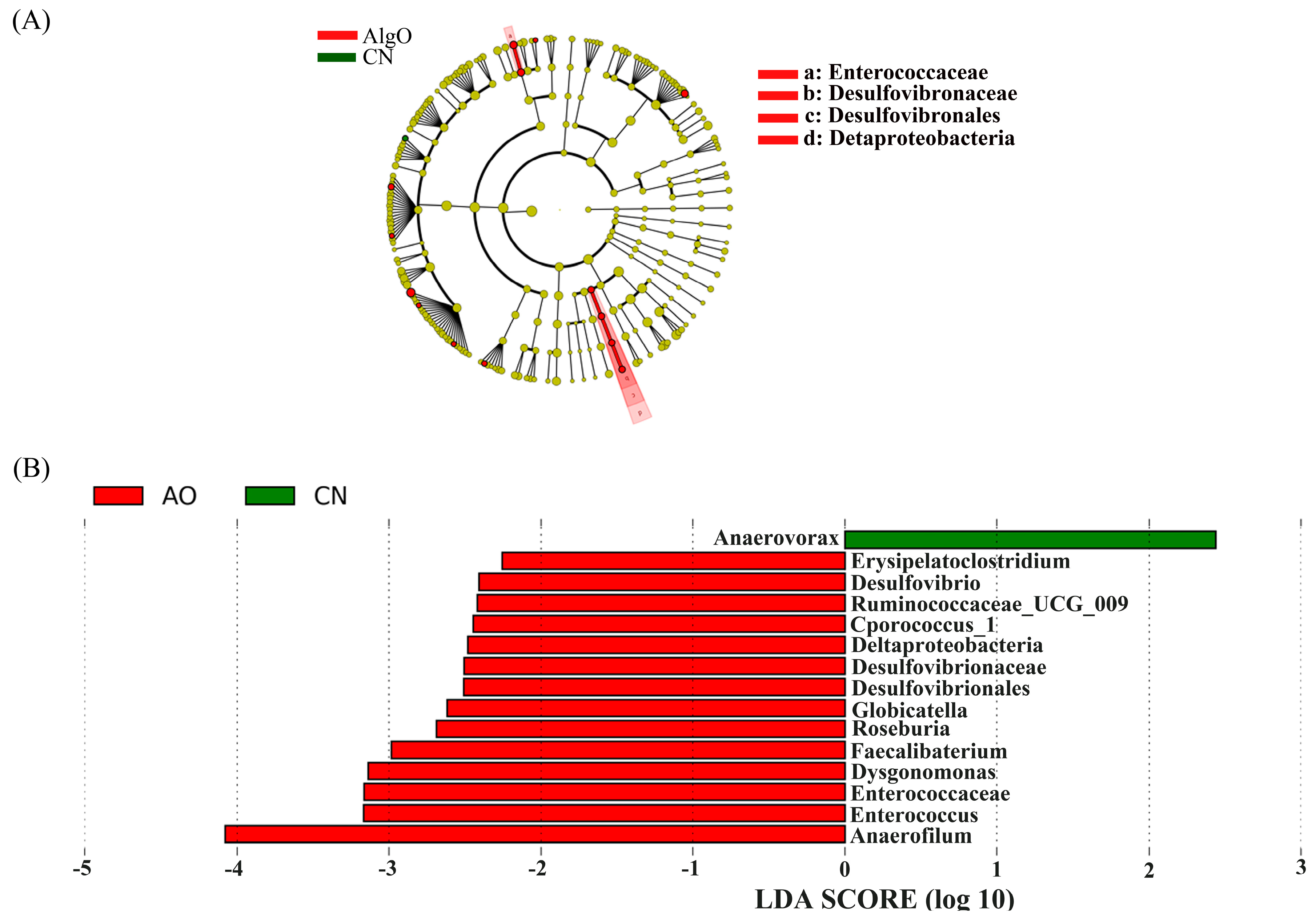 Marinedrugs 17 00173 g006 Marinedrugs 17 00173 g006