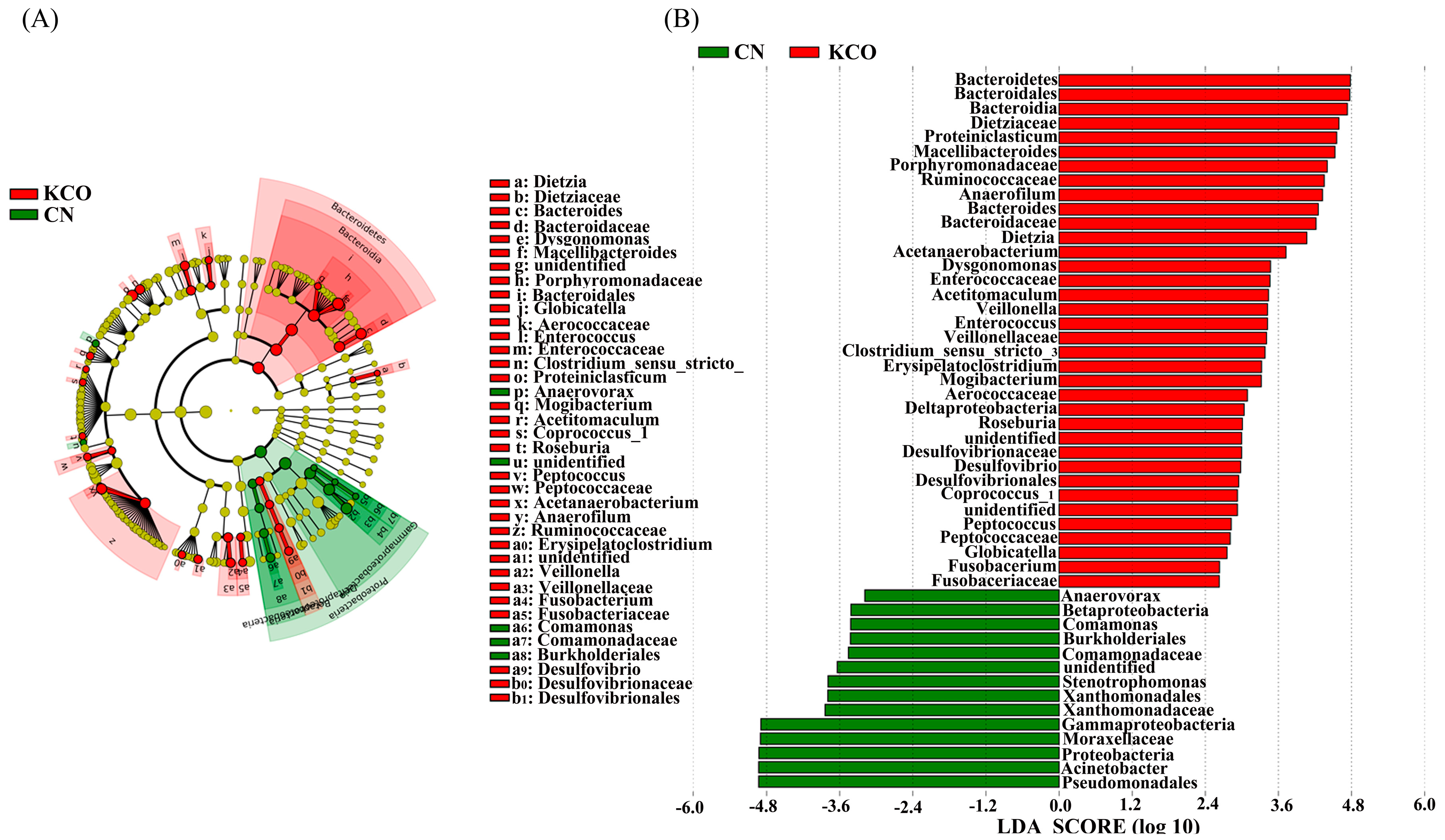Marinedrugs 17 00173 g007 Marinedrugs 17 00173 g007