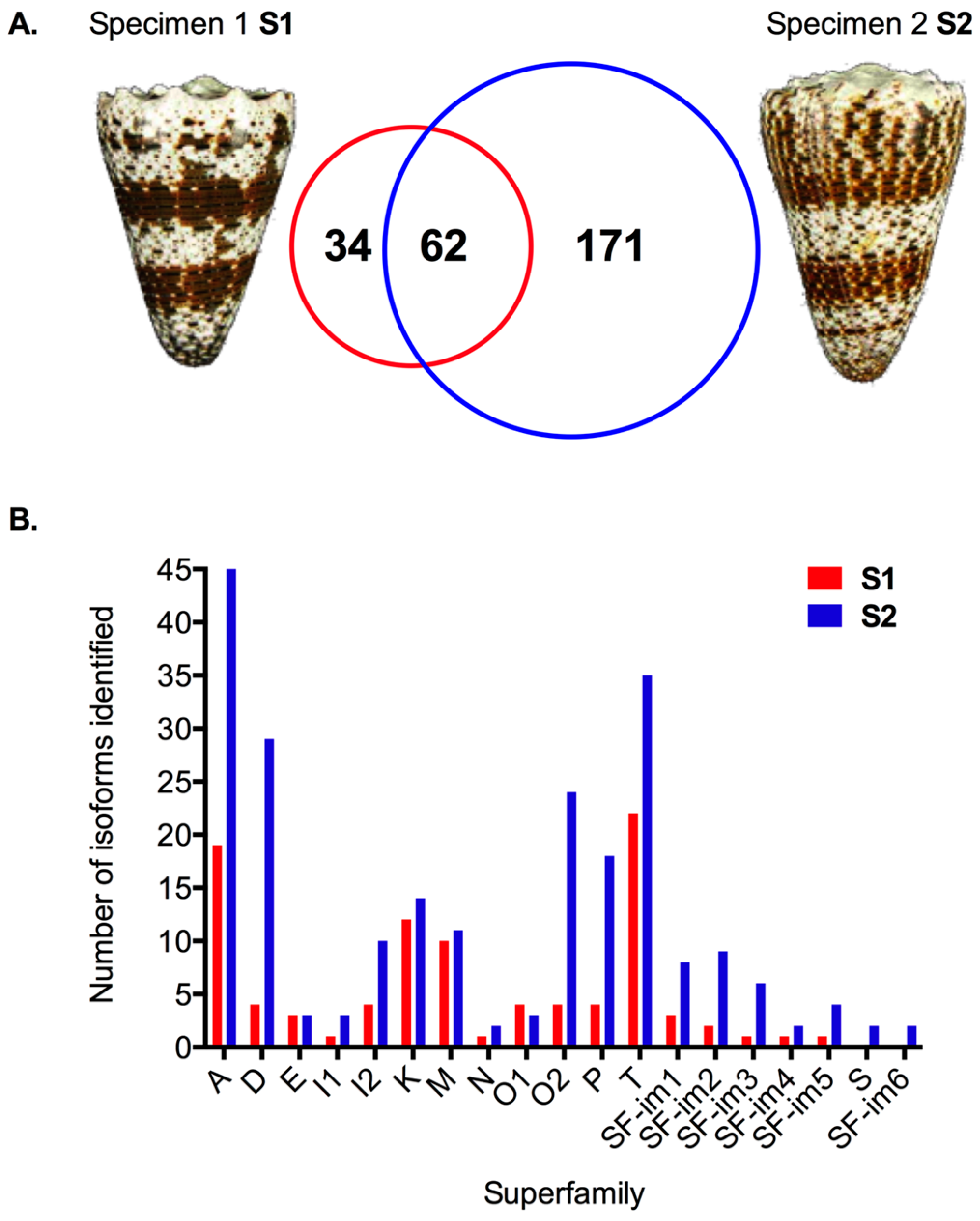 Marinedrugs 17 00177 g001