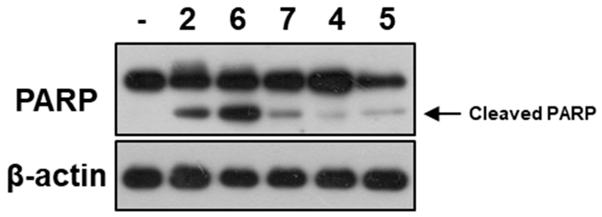 Marinedrugs 17 00178 g005