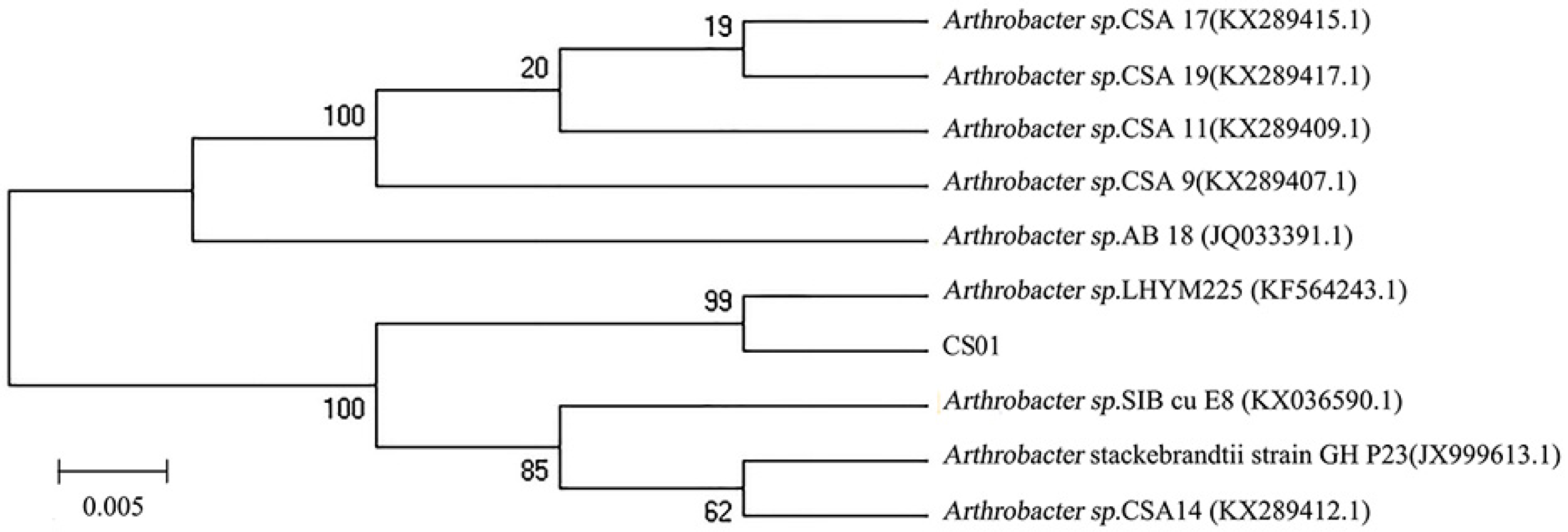 Marinedrugs 17 00185 g001 550