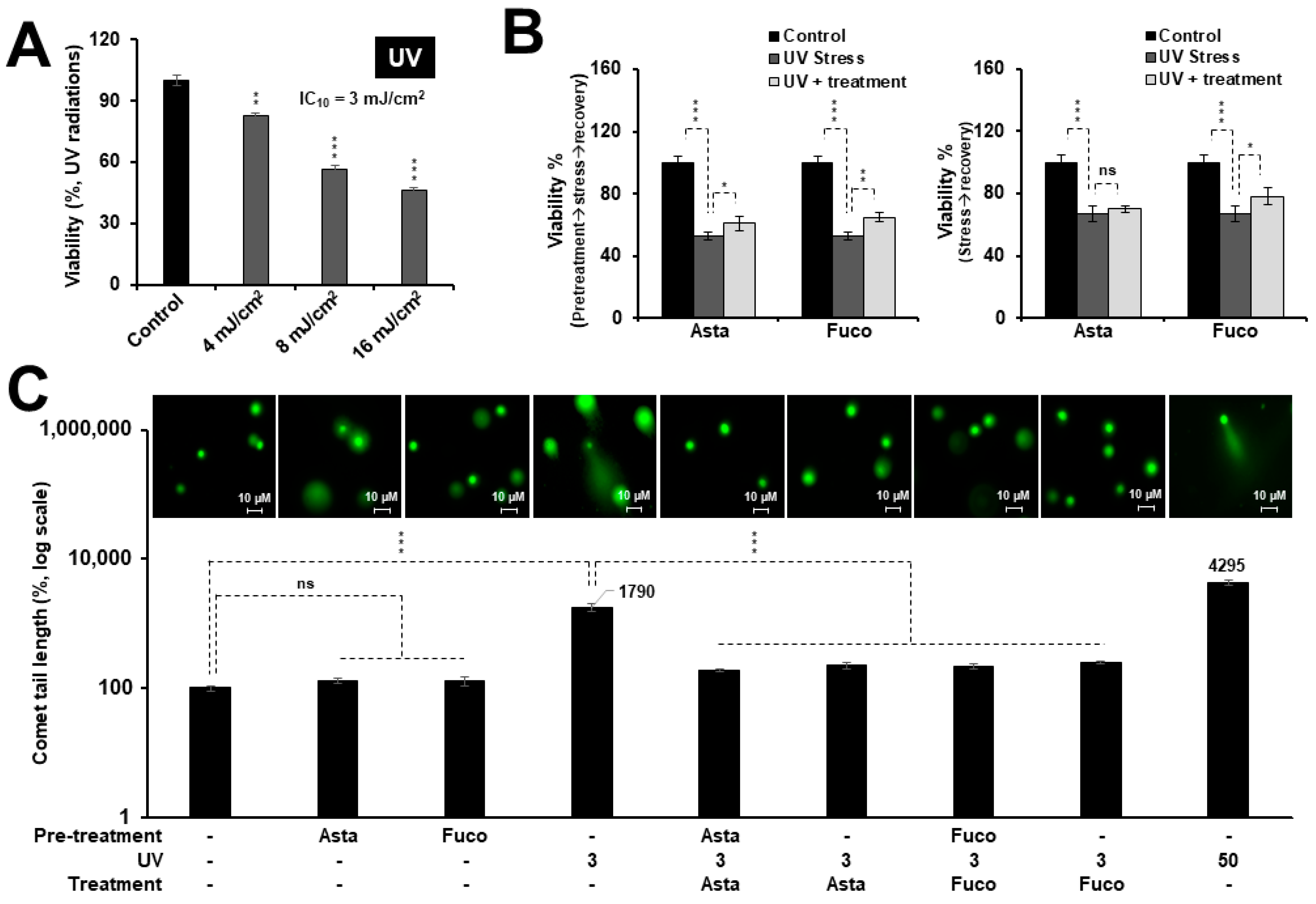 Marinedrugs 17 00189 g002