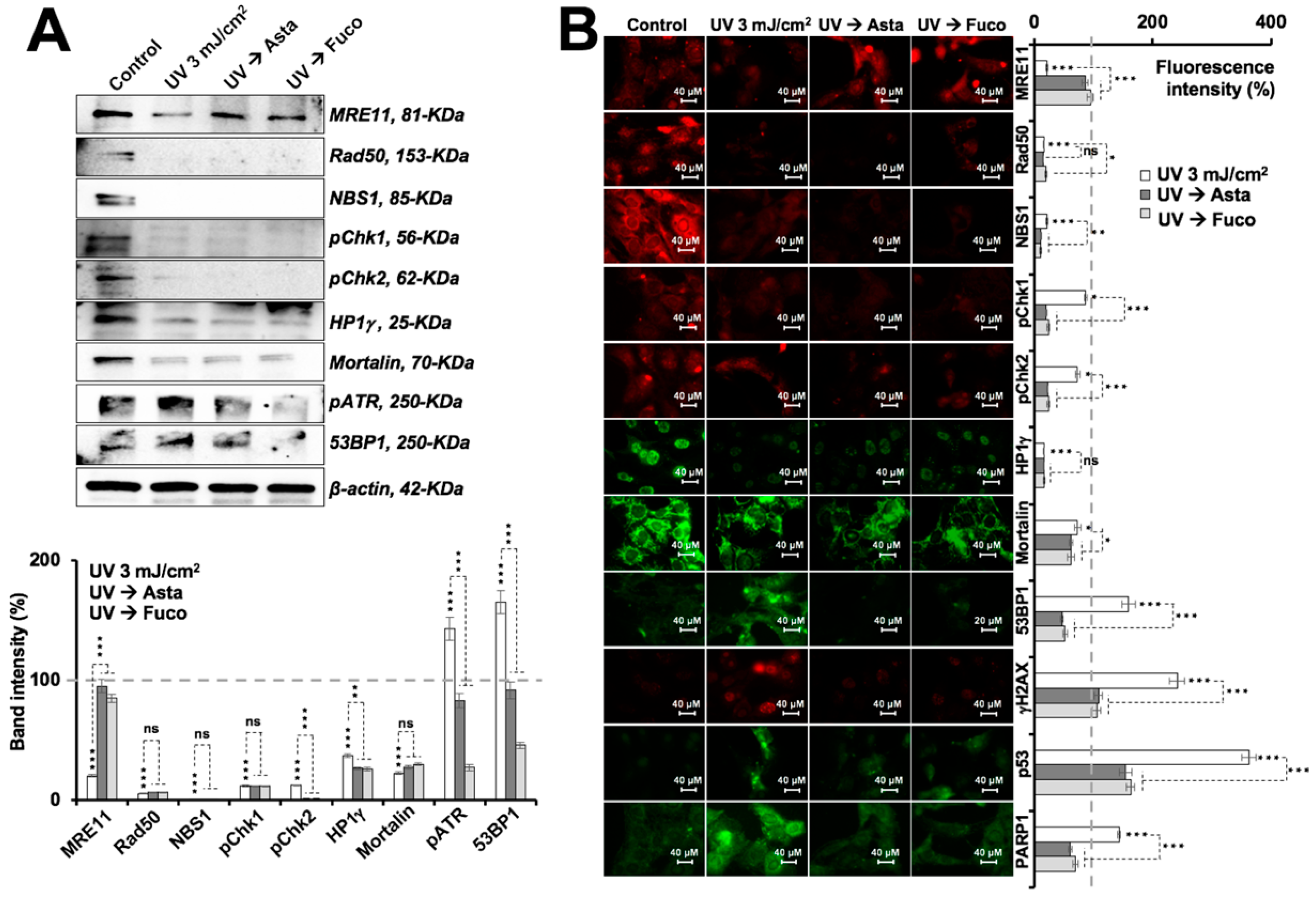 Marinedrugs 17 00189 g003