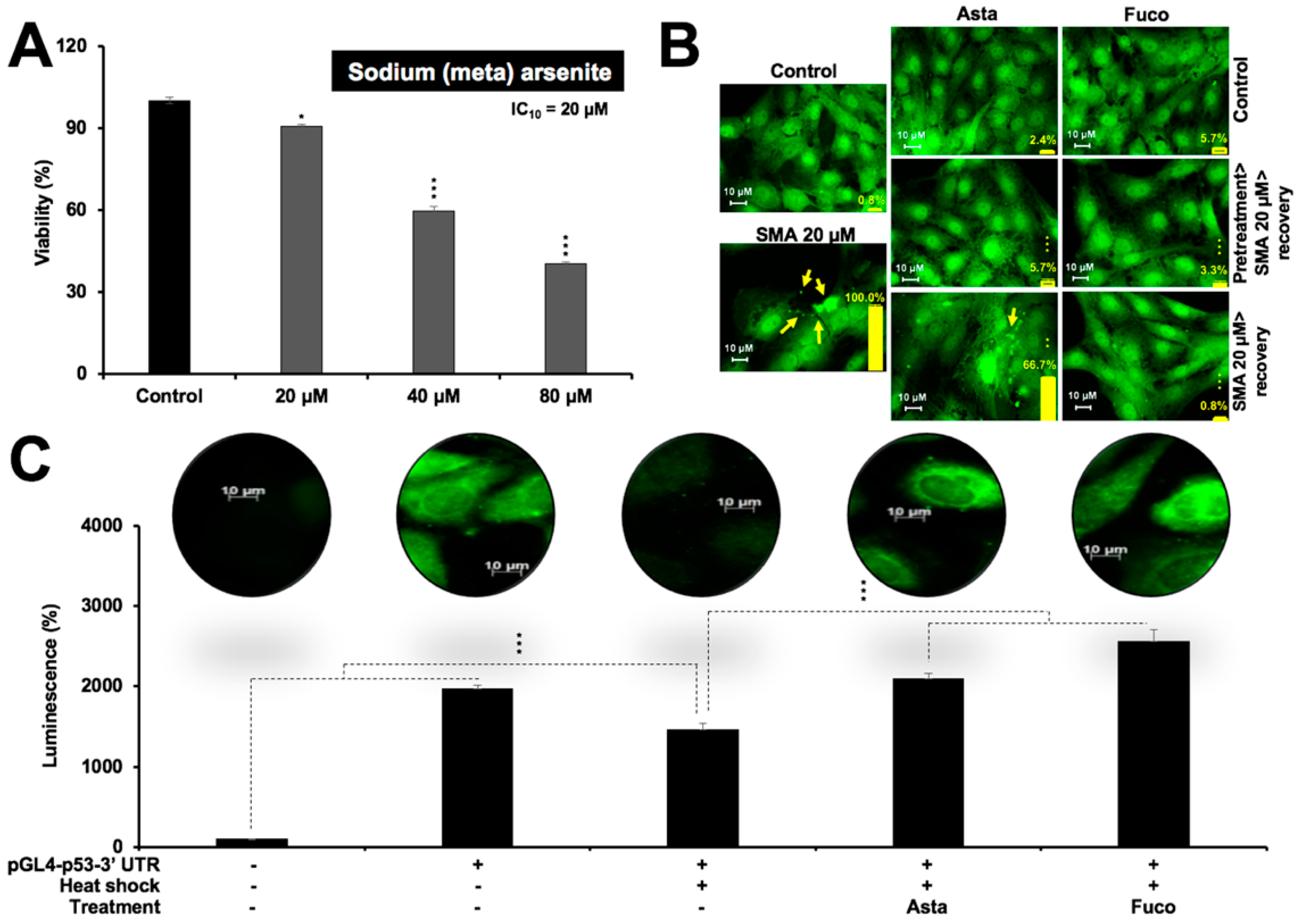 Marinedrugs 17 00189 g004