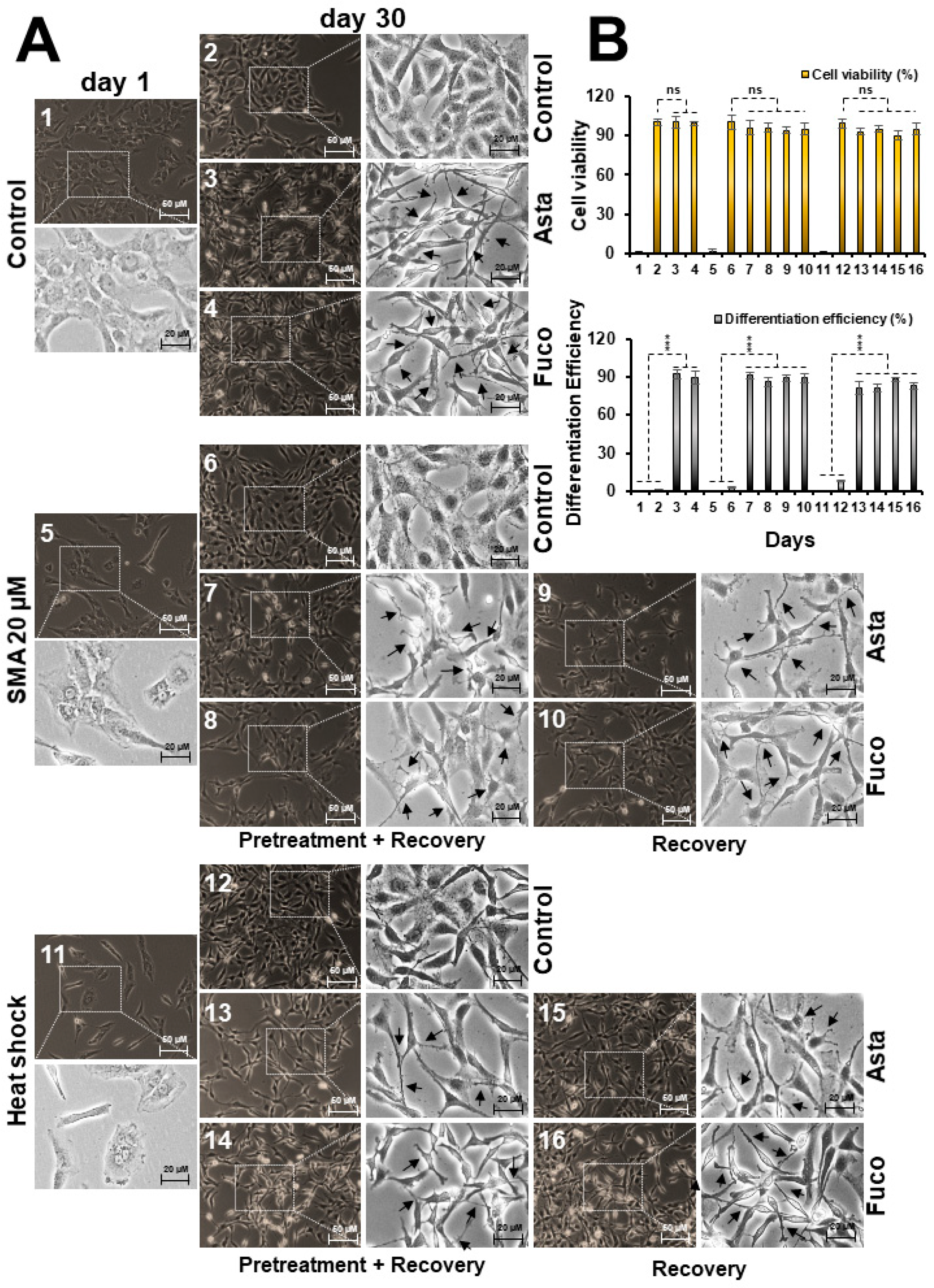 Marinedrugs 17 00189 g005