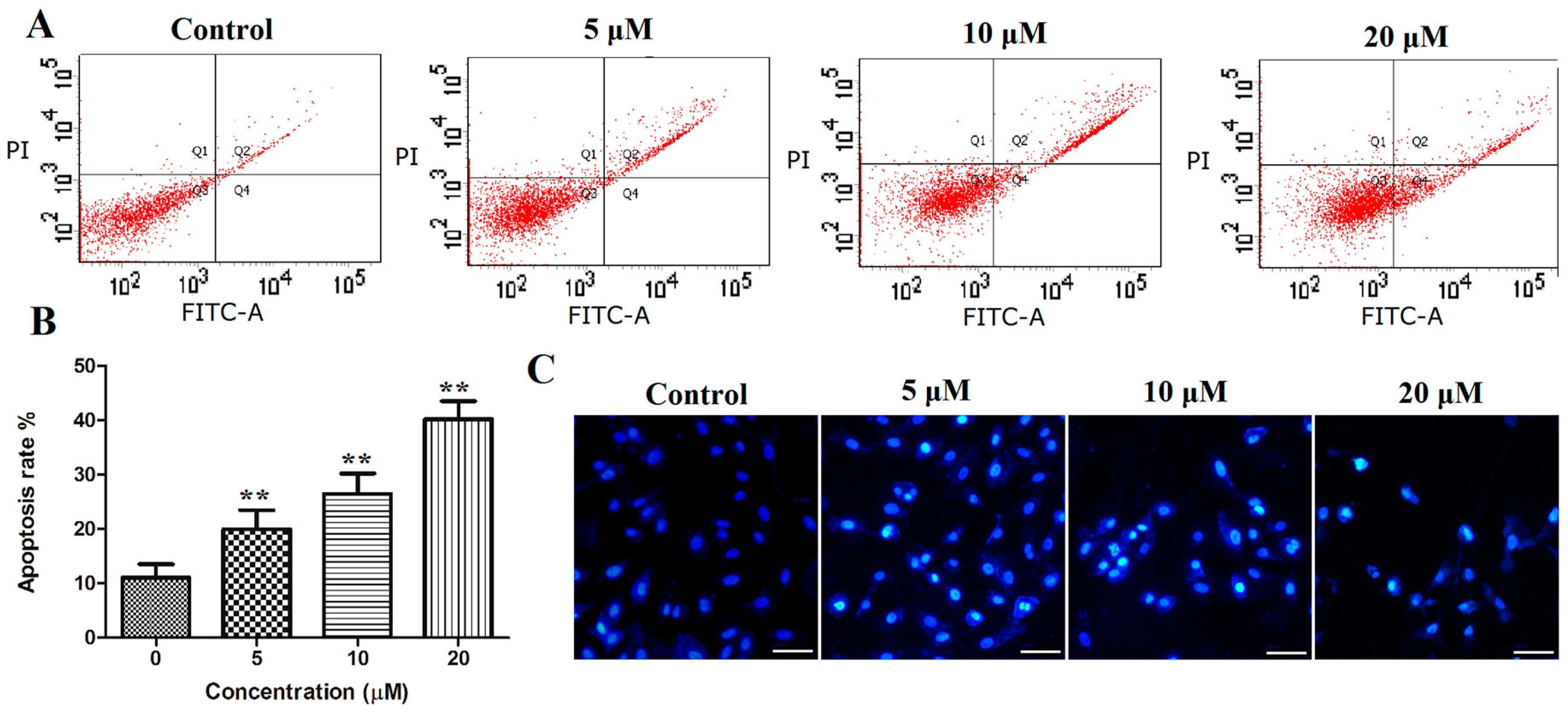 Marinedrugs 17 00207 g005