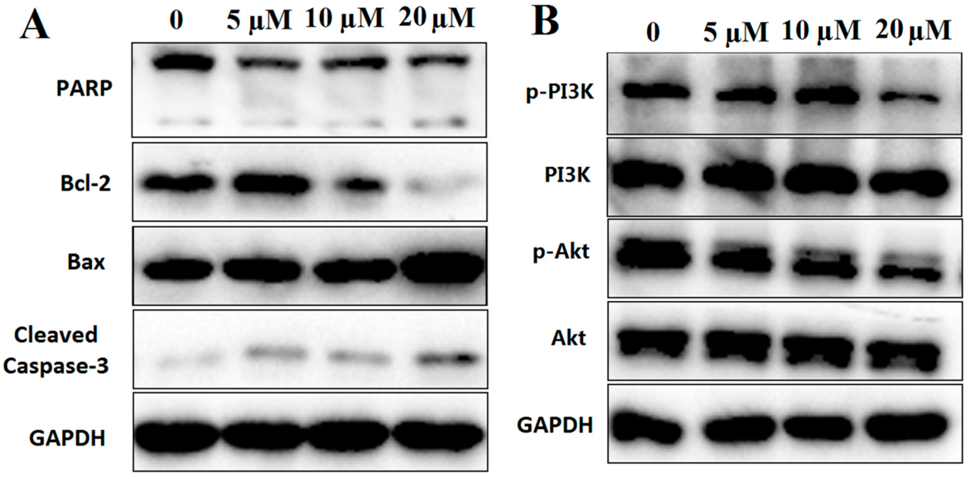 Marinedrugs 17 00207 g008