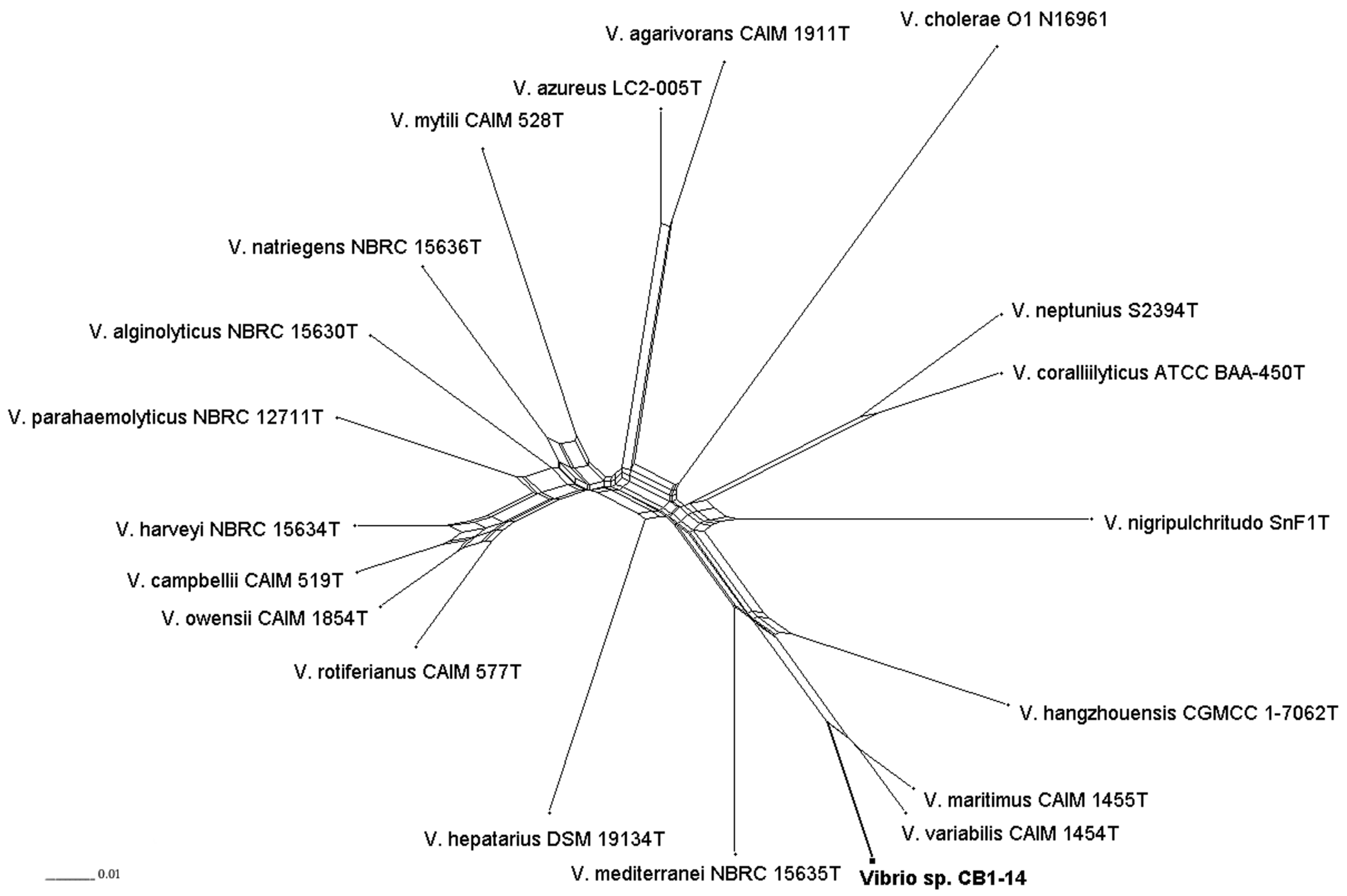 Marinedrugs 17 00213 g003