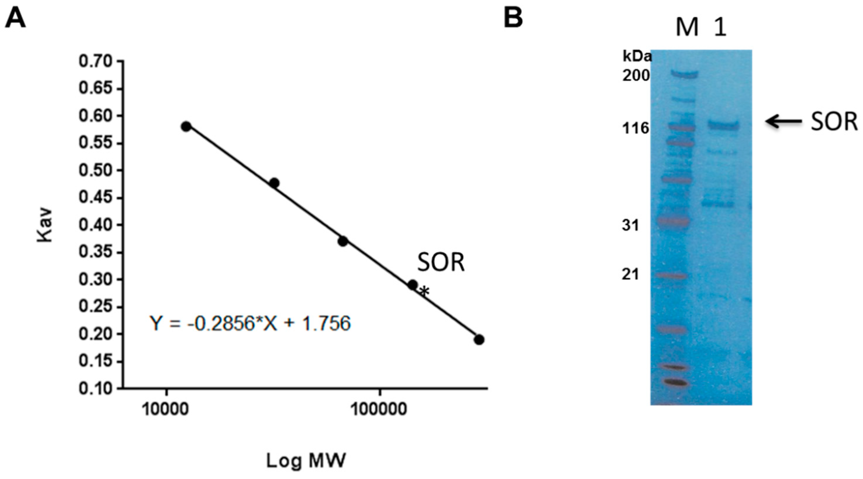Marinedrugs 17 00216 g002 Marinedrugs 17 00216 g002