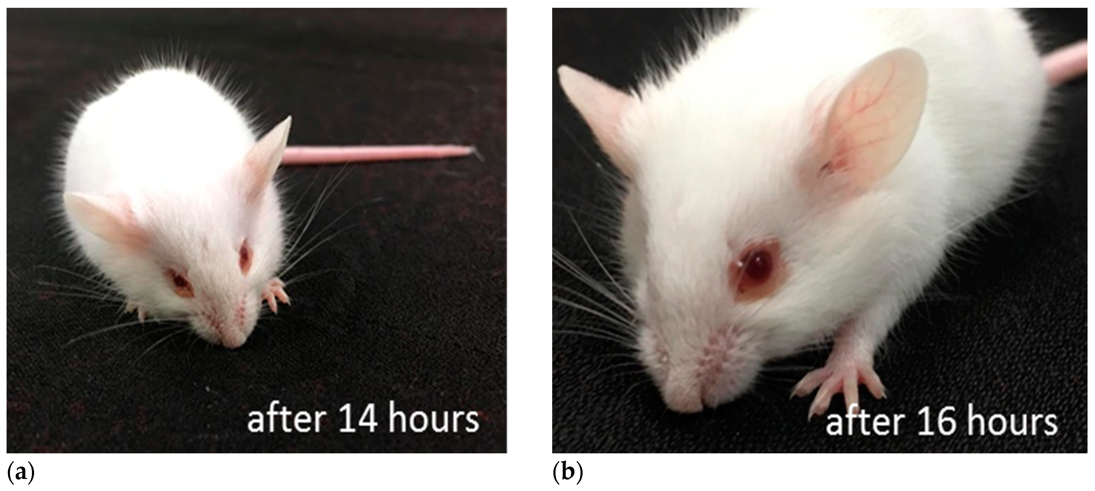 Marinedrugs 17 00216 g007 Marinedrugs 17 00216 g007