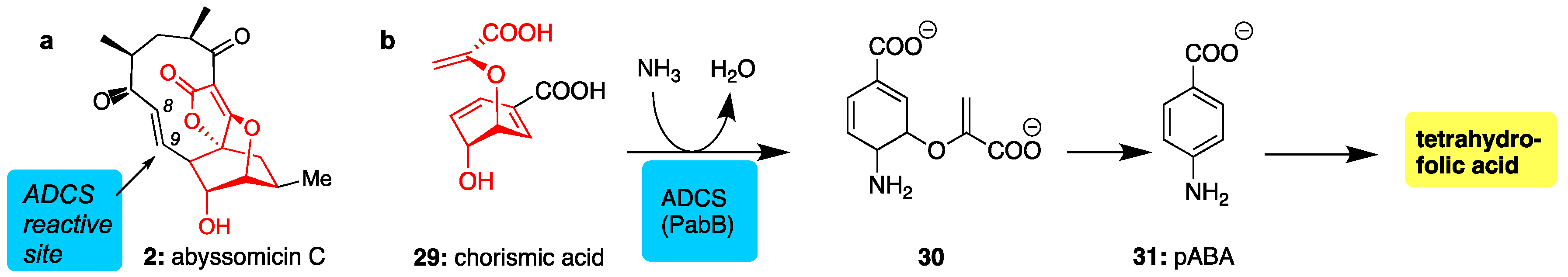 Marinedrugs 17 00232 g004 Marinedrugs 17 00232 g004