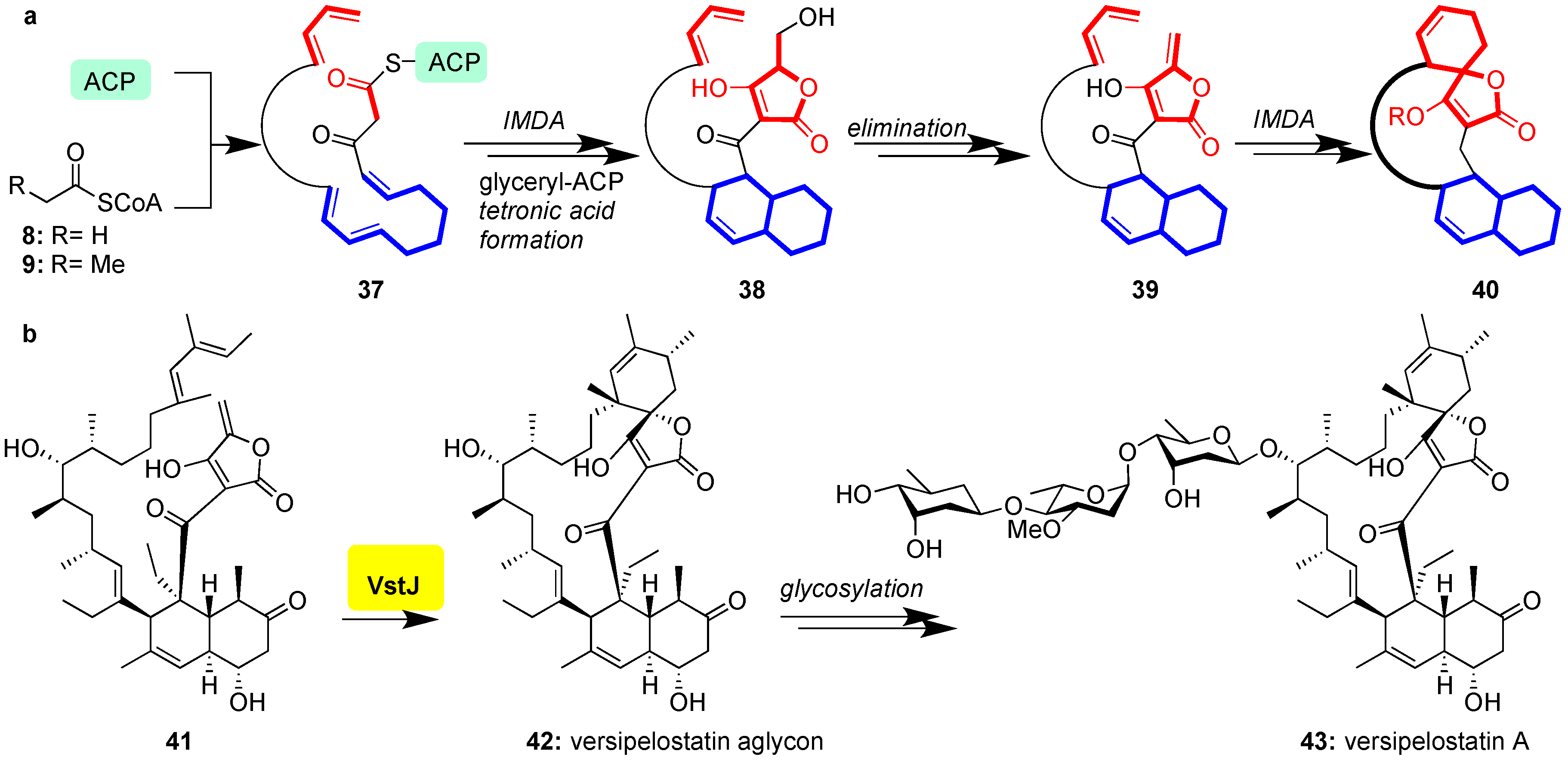 Marinedrugs 17 00232 g006 Marinedrugs 17 00232 g006