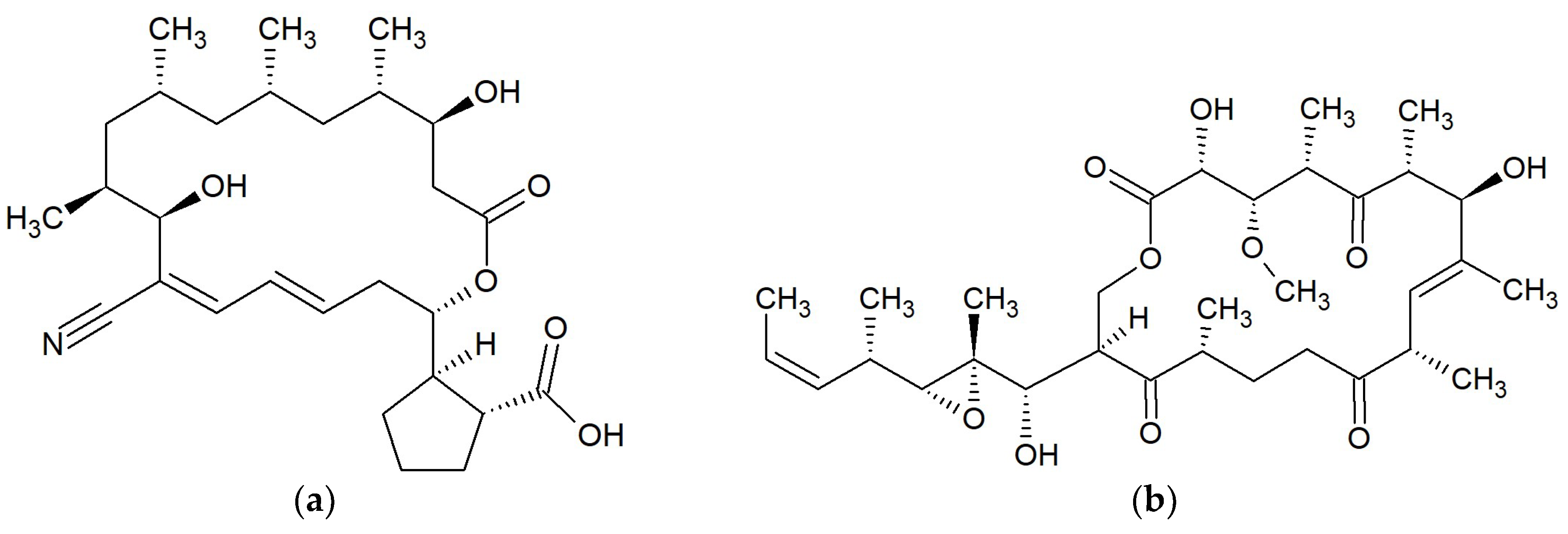 Marinedrugs 17 00241 g005a Marinedrugs 17 00241 g005a