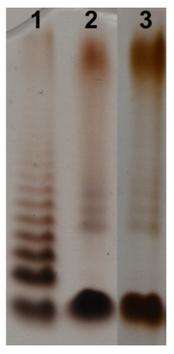 Marinedrugs 17 00254 g001 550