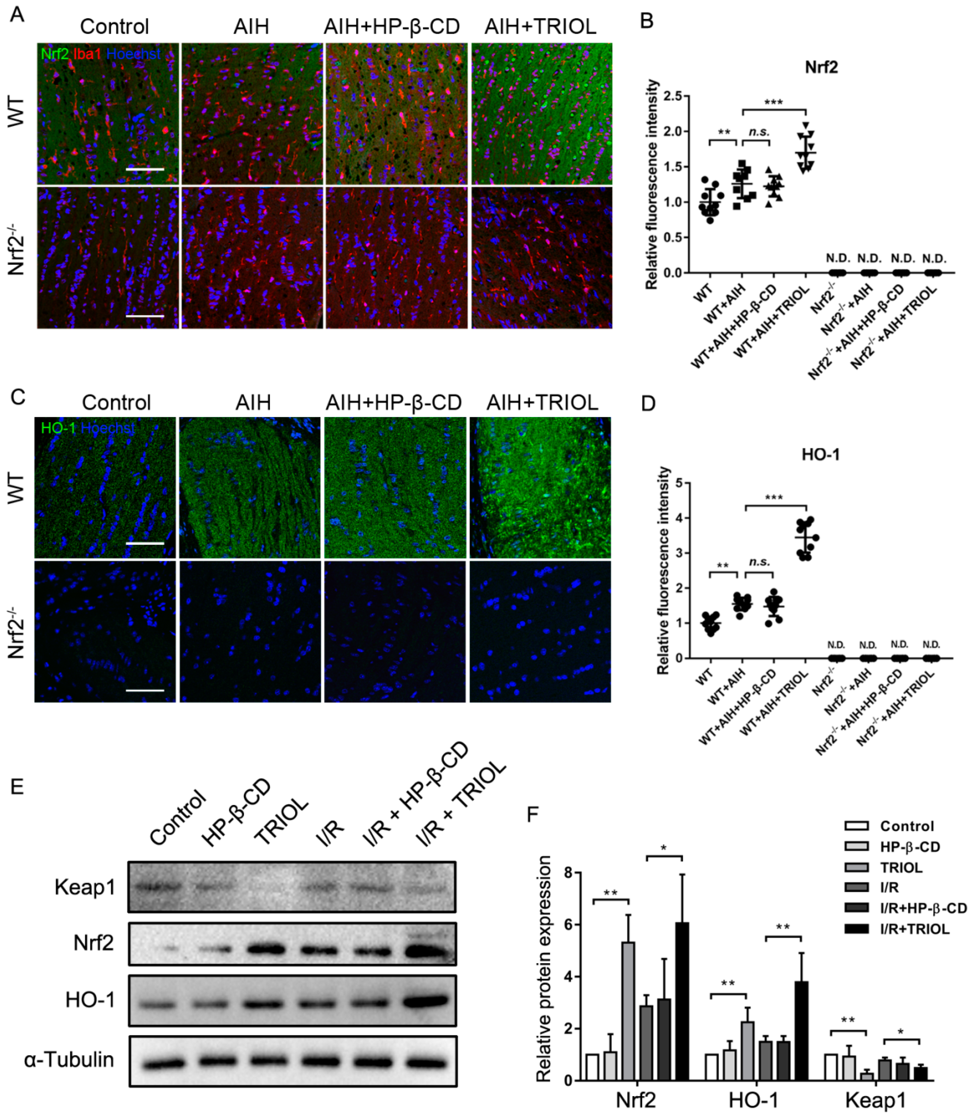 Marinedrugs 17 00267 g005 Marinedrugs 17 00267 g005