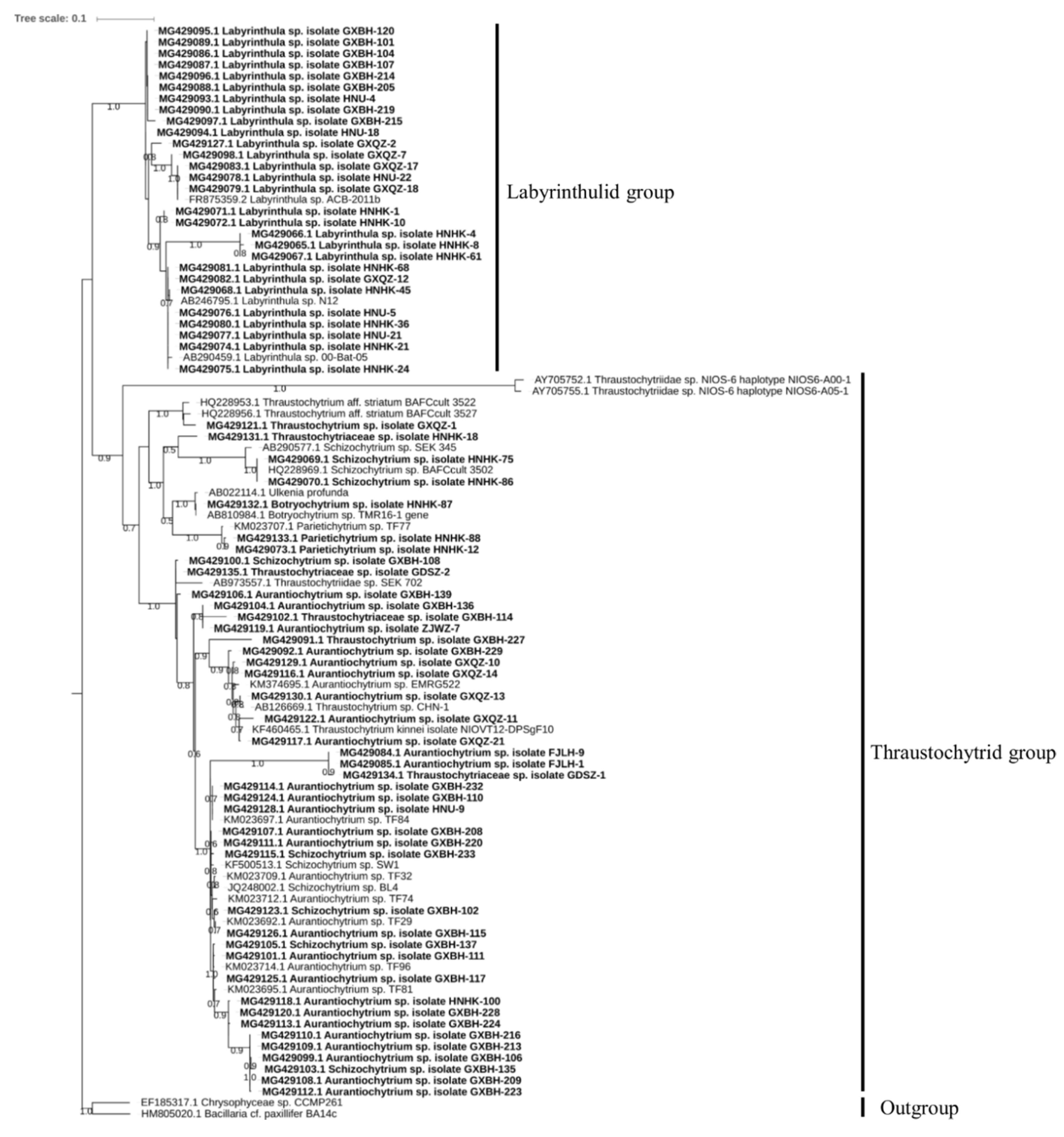 Marinedrugs 17 00268 g002