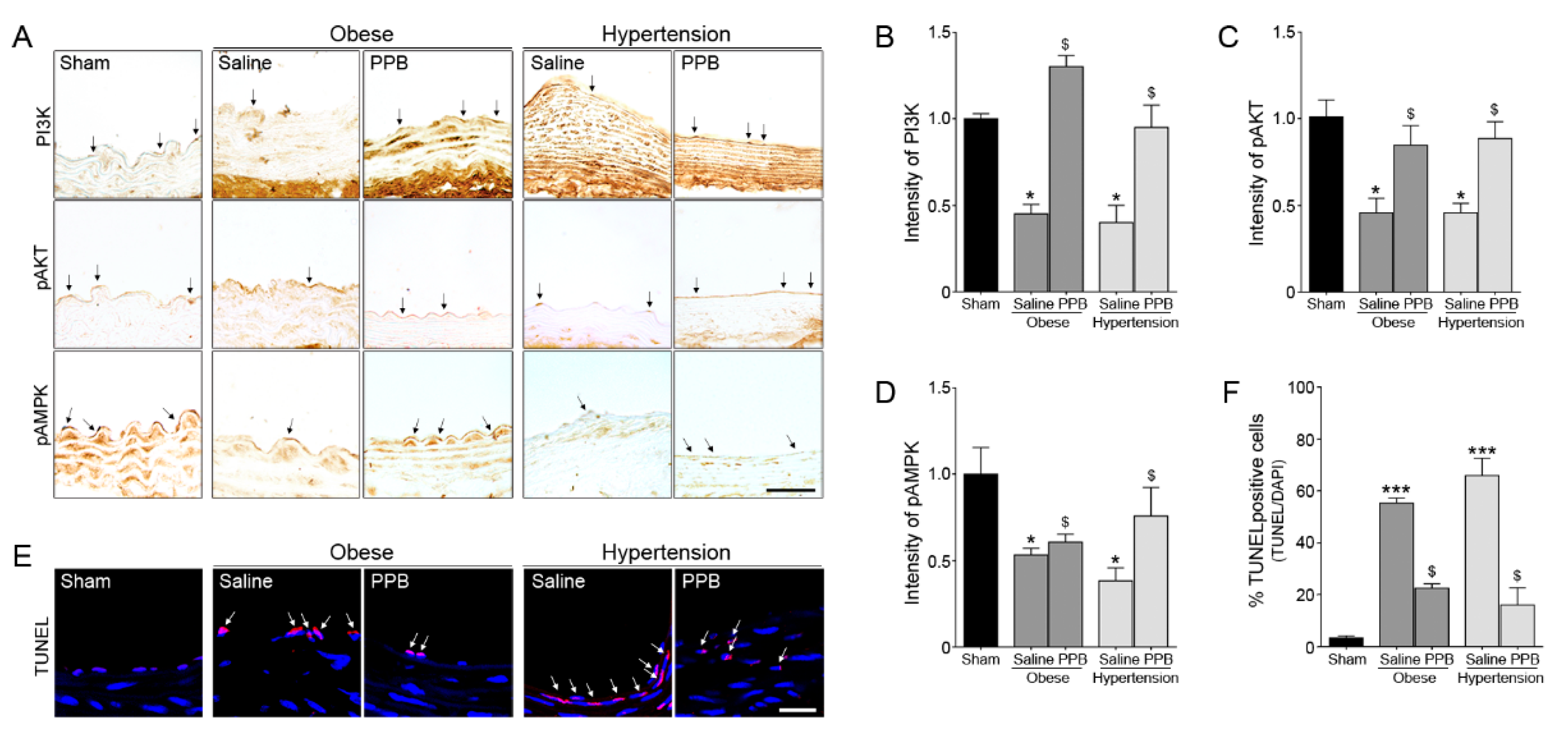 Marinedrugs 17 00272 g005 Marinedrugs 17 00272 g005
