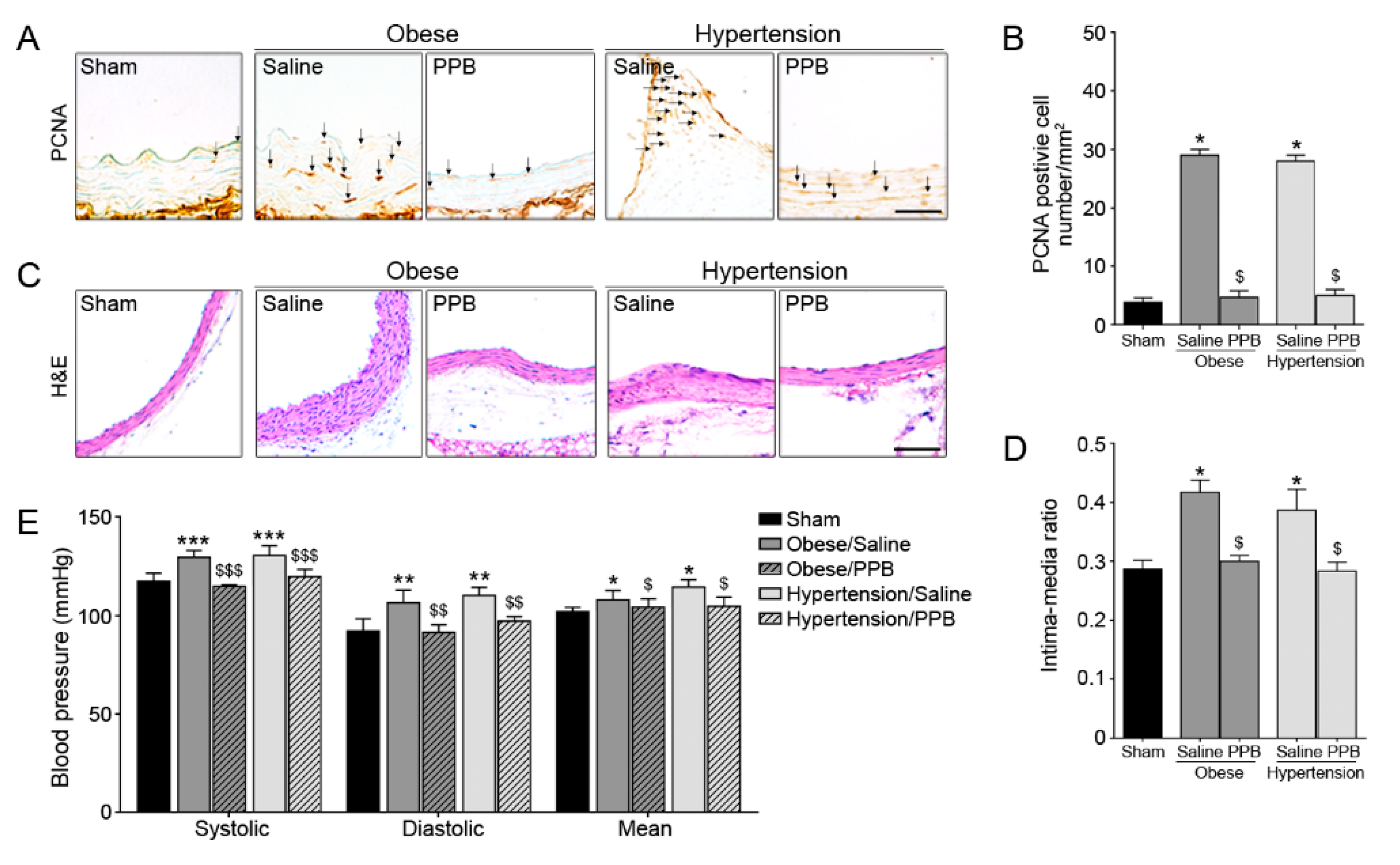 Marinedrugs 17 00272 g007 Marinedrugs 17 00272 g007