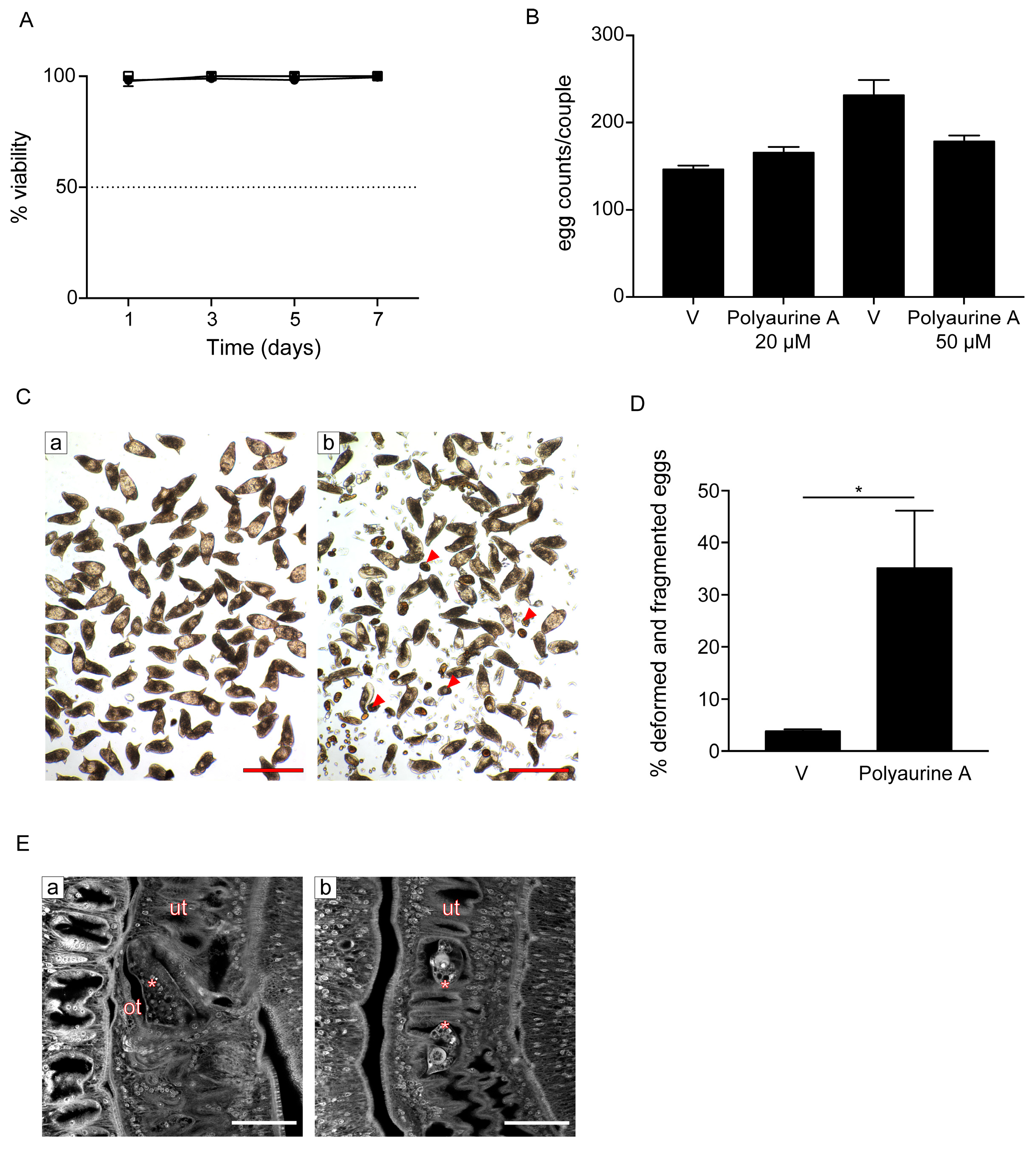 Marinedrugs 17 00278 g005 Marinedrugs 17 00278 g005