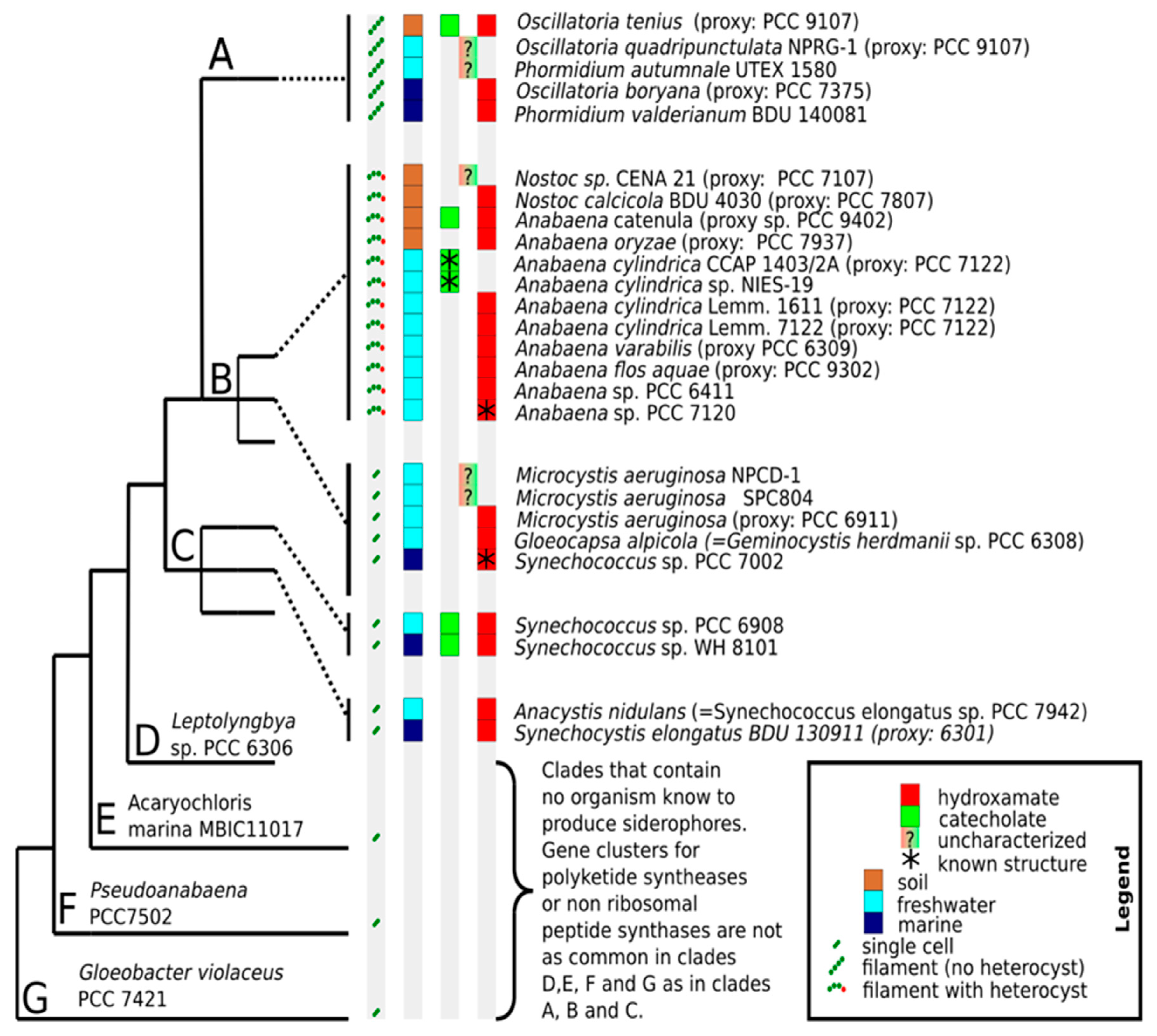 Marinedrugs 17 00281 g005 Marinedrugs 17 00281 g005