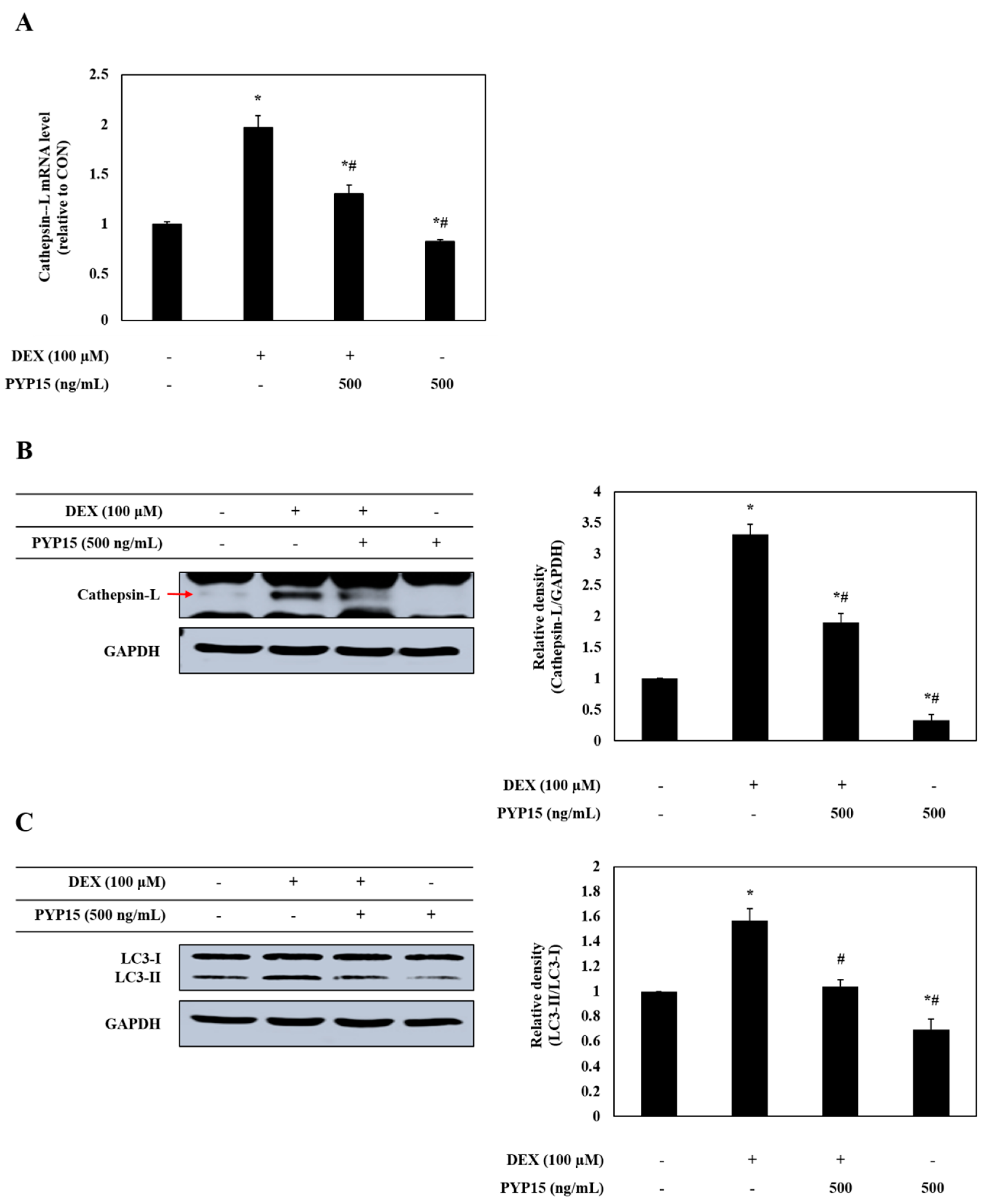 Marinedrugs 17 00284 g008 Marinedrugs 17 00284 g008