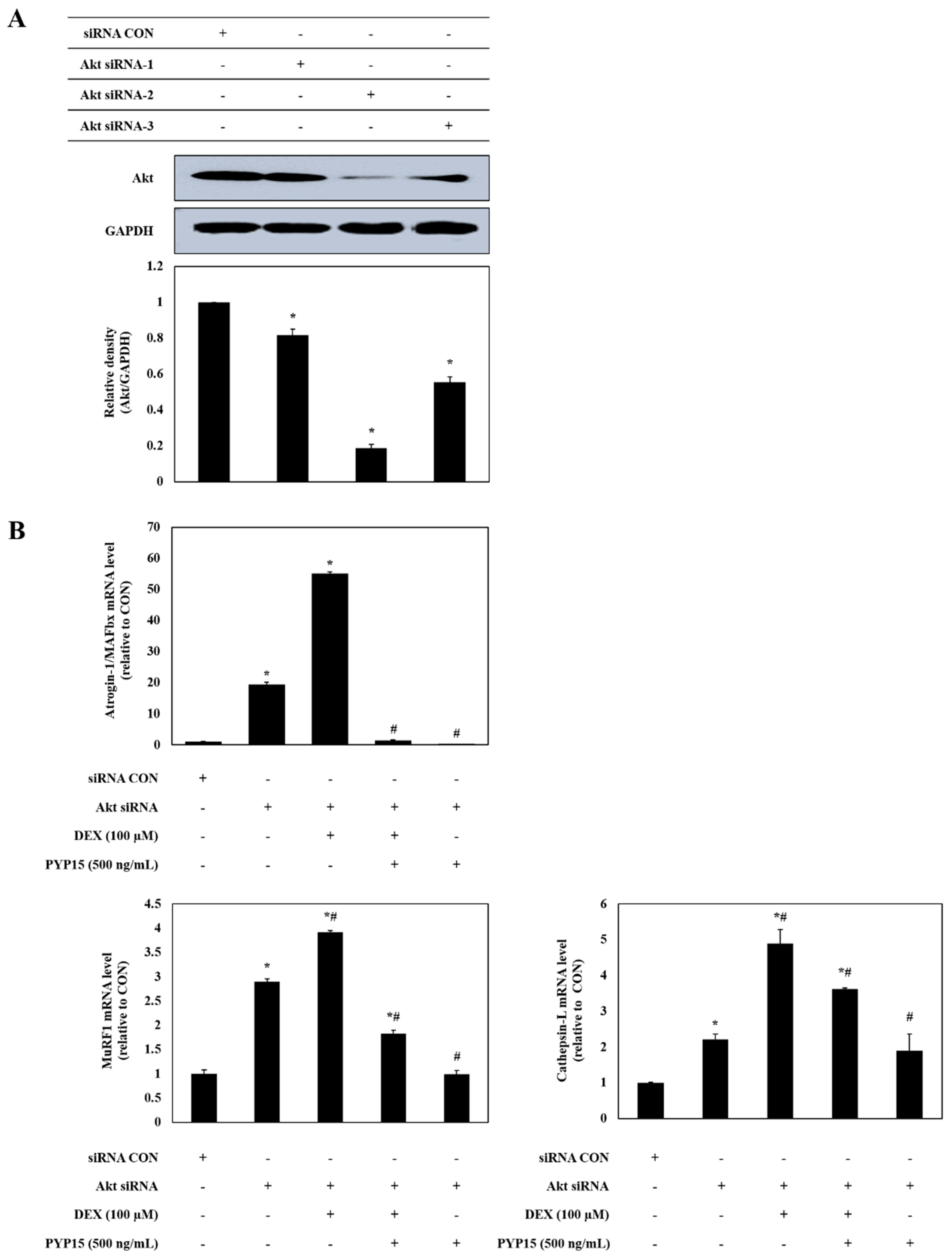 Marinedrugs 17 00284 g009a Marinedrugs 17 00284 g009a