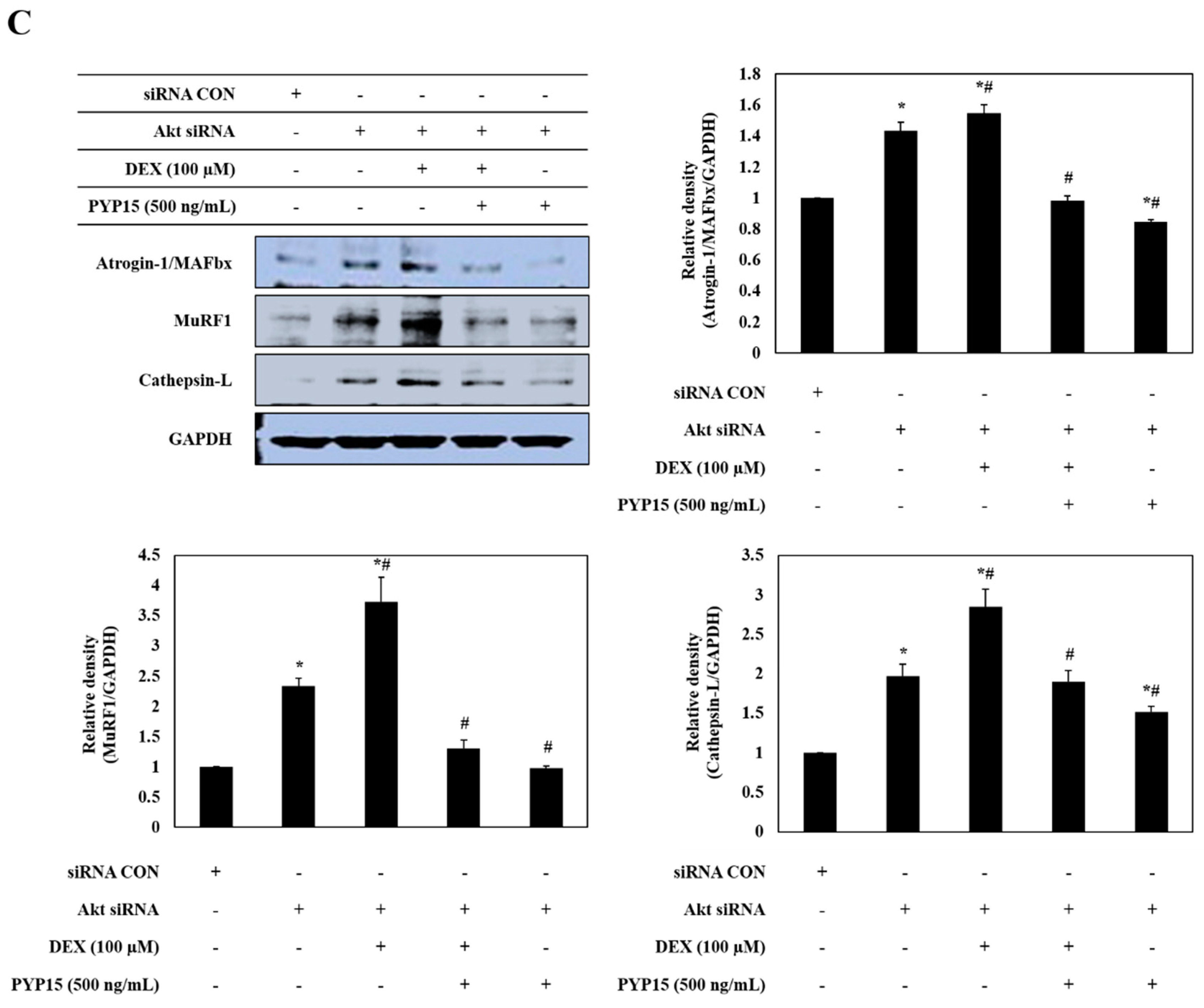 Marinedrugs 17 00284 g009b Marinedrugs 17 00284 g009b