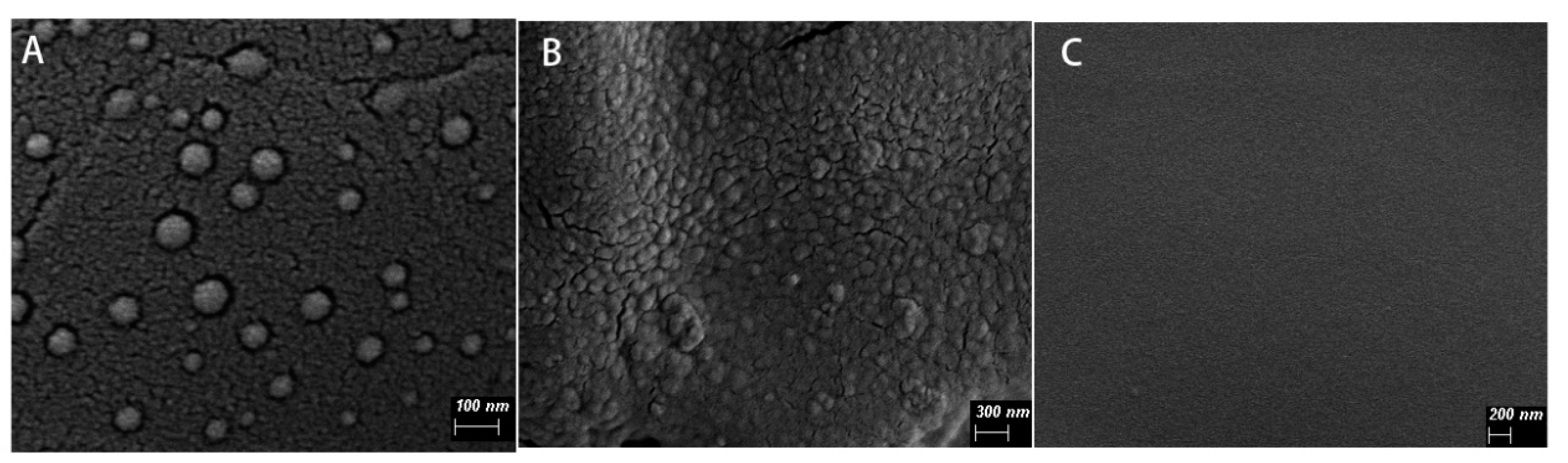 Marinedrugs 17 00285 g001