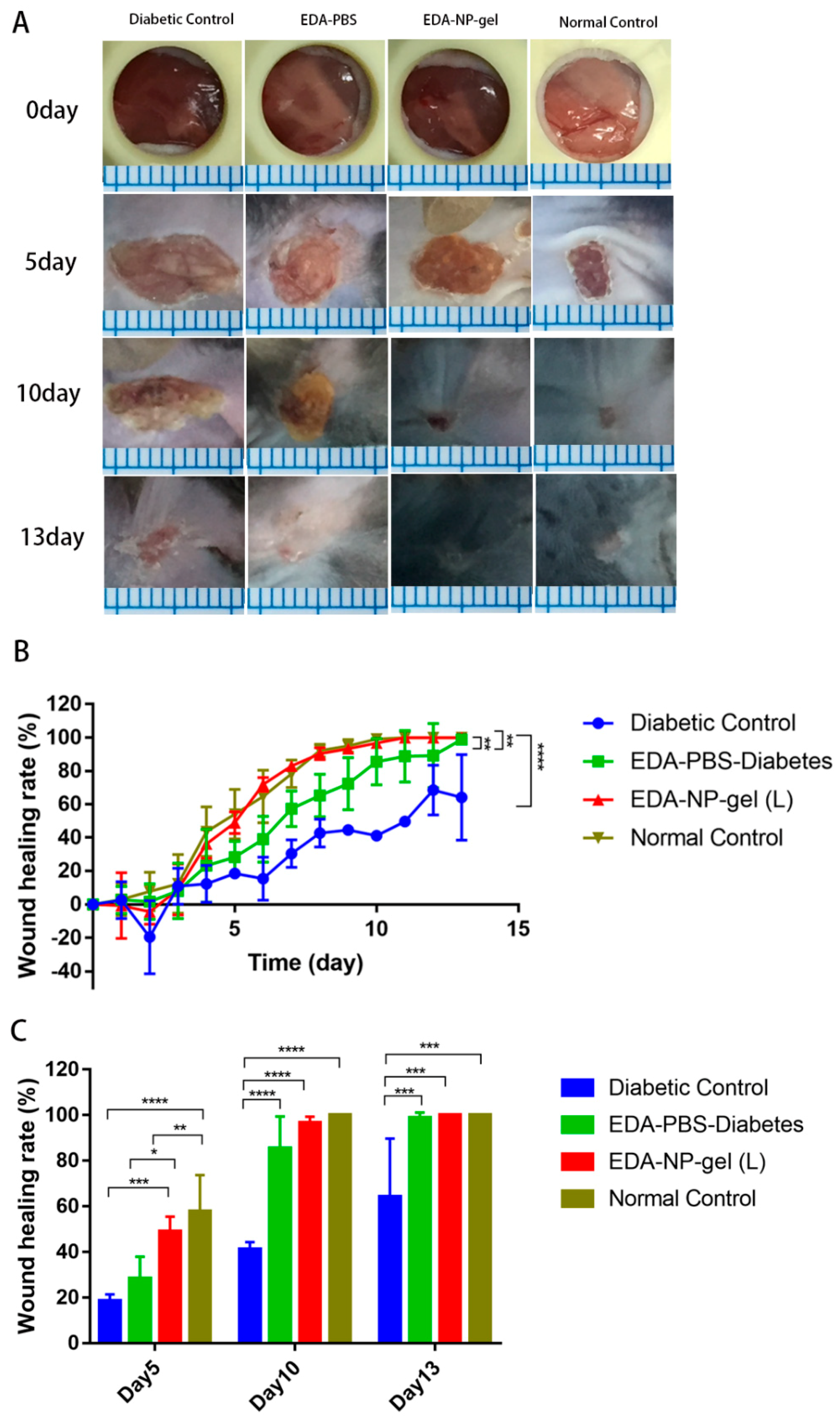 Marinedrugs 17 00285 g004