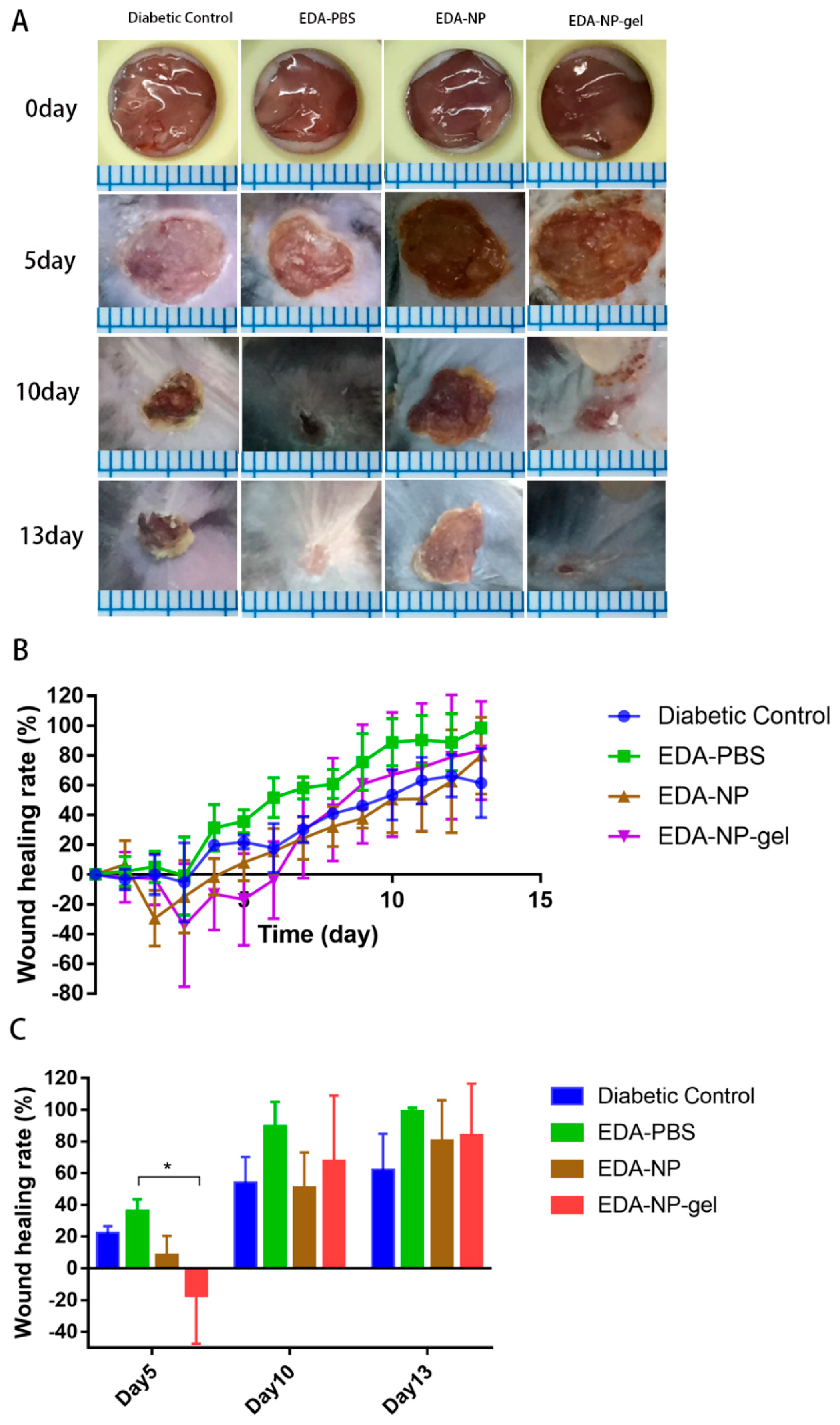 Marinedrugs 17 00285 g005