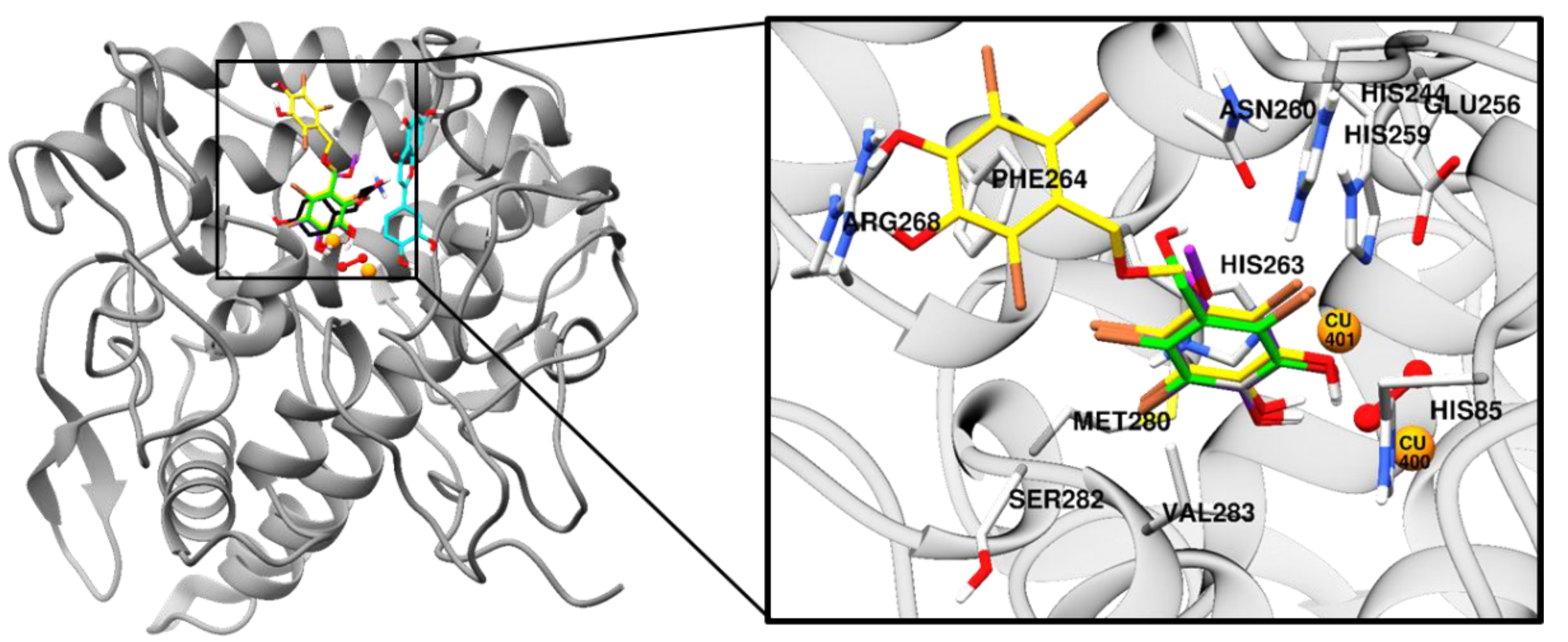 Marinedrugs 17 00295 g003