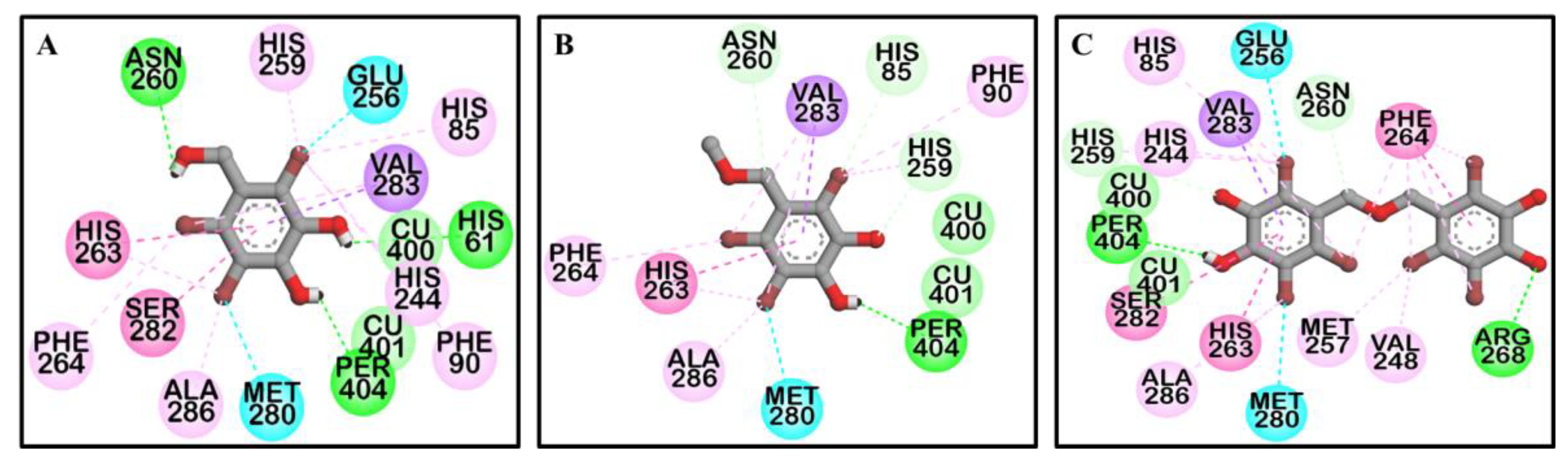 Marinedrugs 17 00295 g004