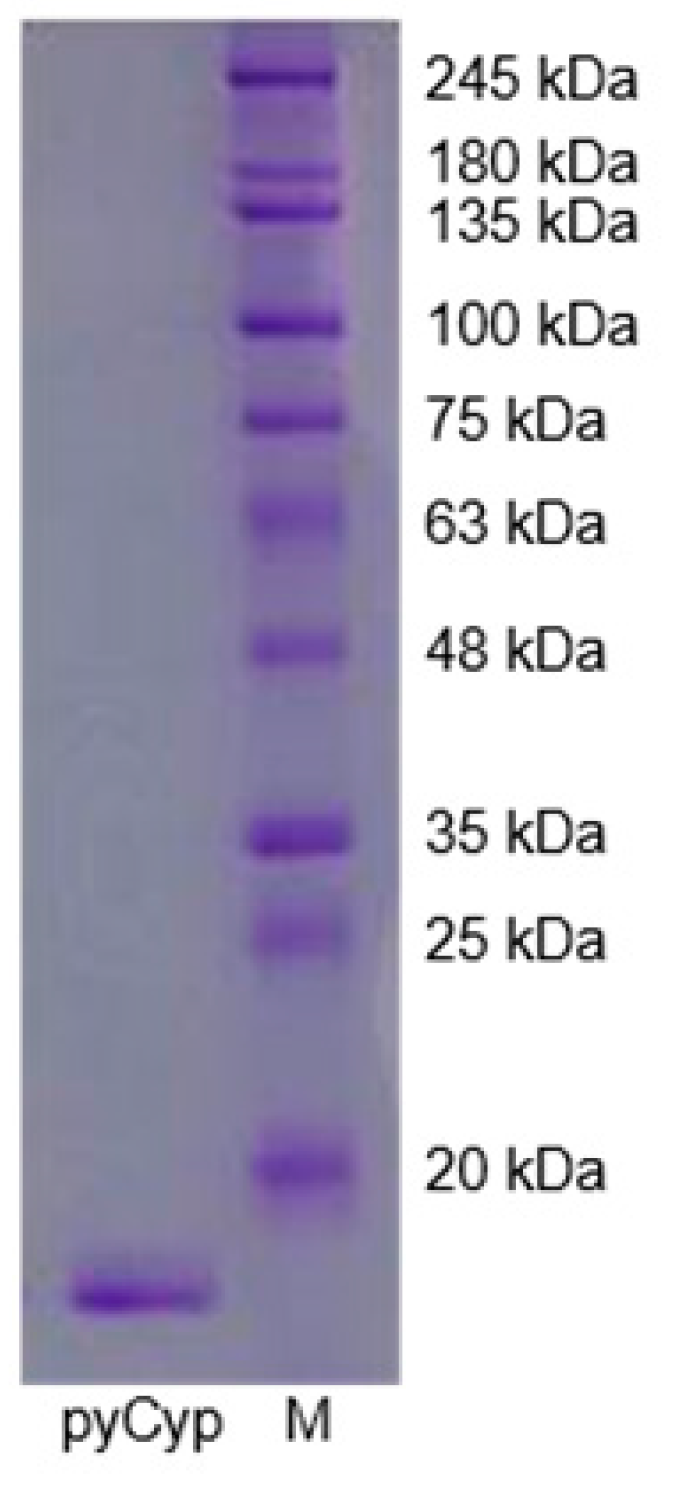 Marinedrugs 17 00297 g001