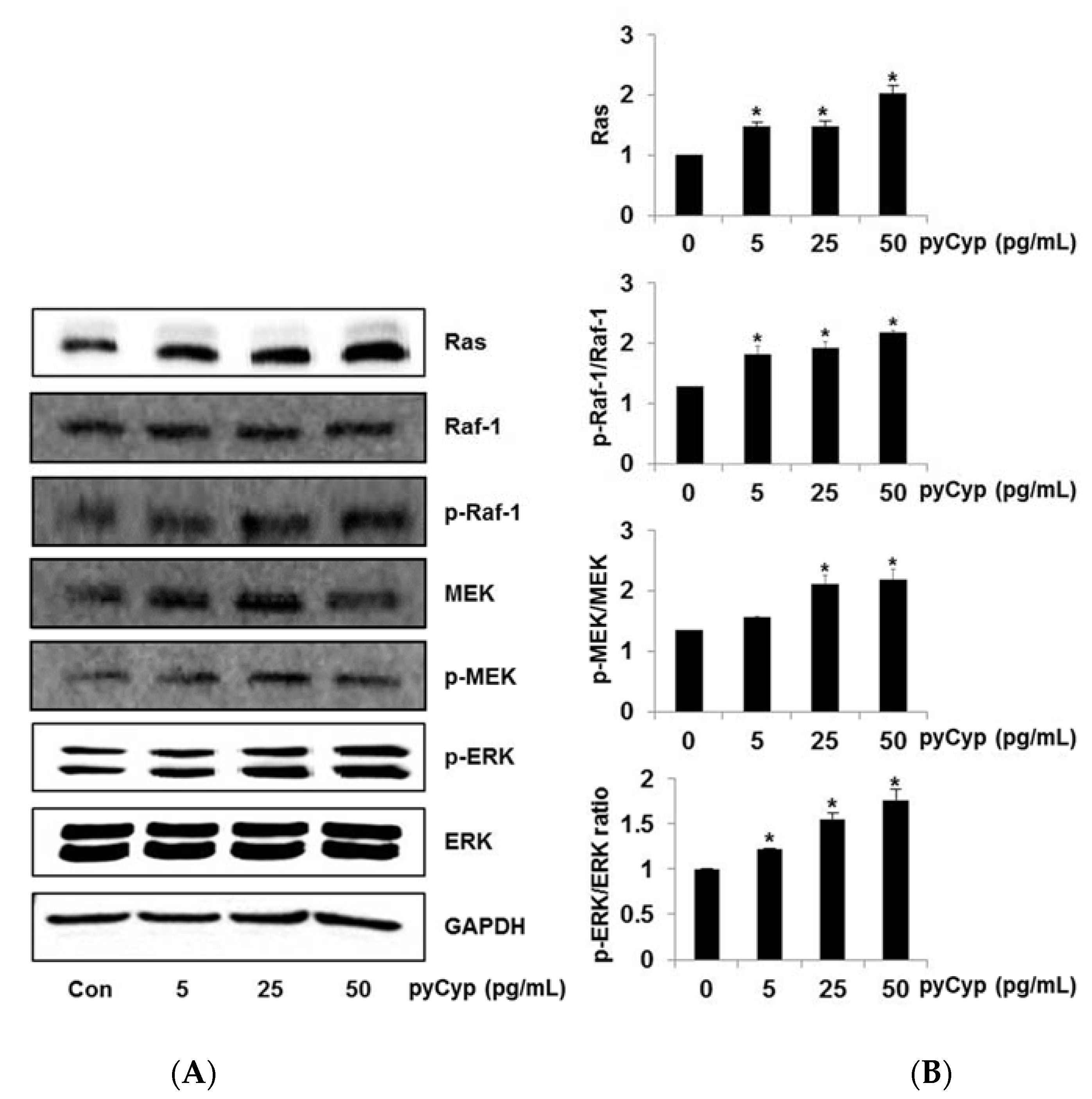 Marinedrugs 17 00297 g004