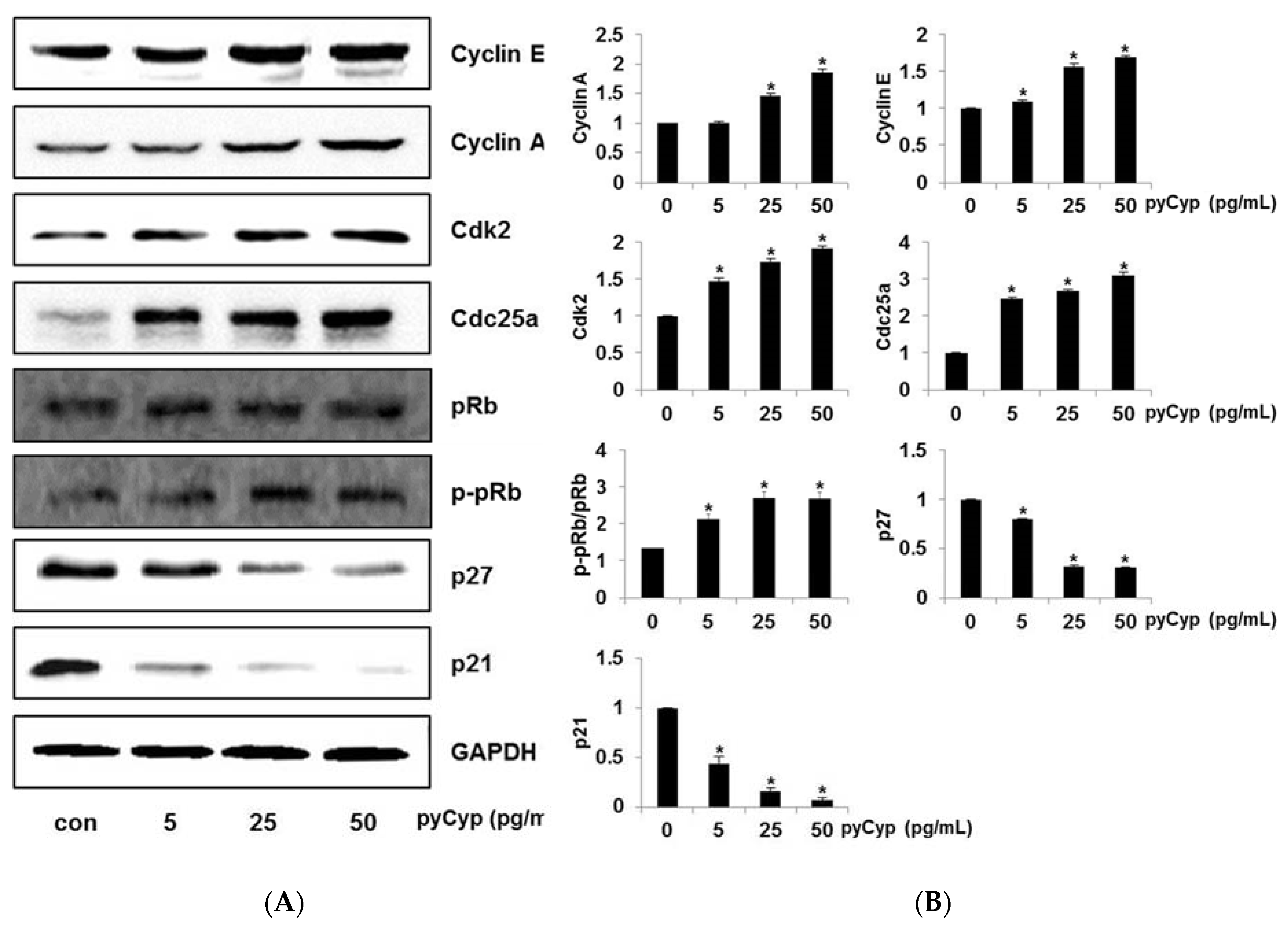Marinedrugs 17 00297 g006