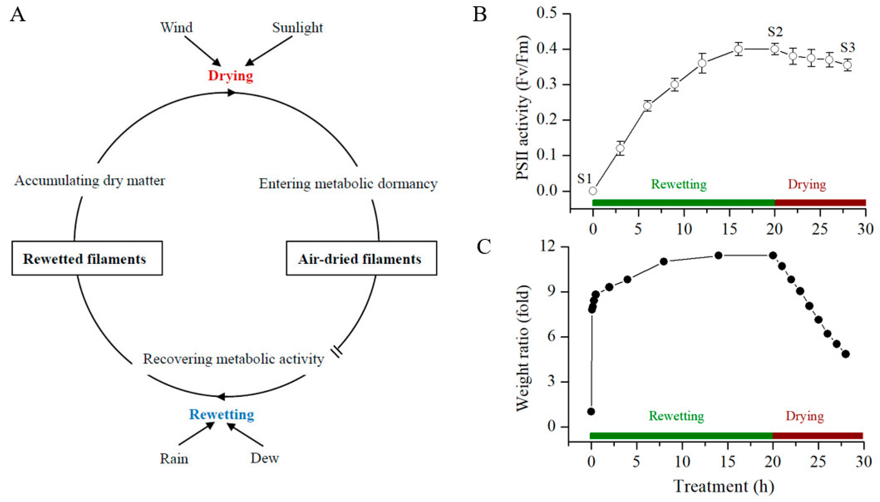 Marinedrugs 17 00298 g001 Marinedrugs 17 00298 g001