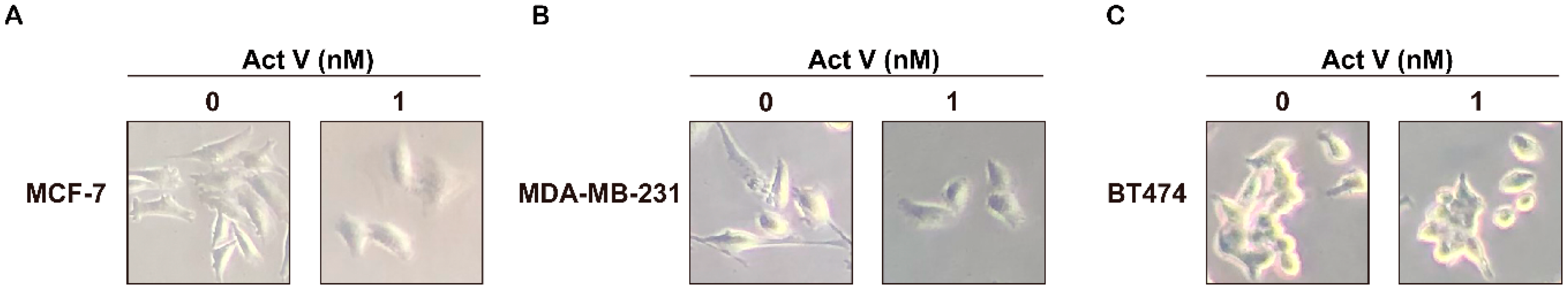 Marinedrugs 17 00305 g003