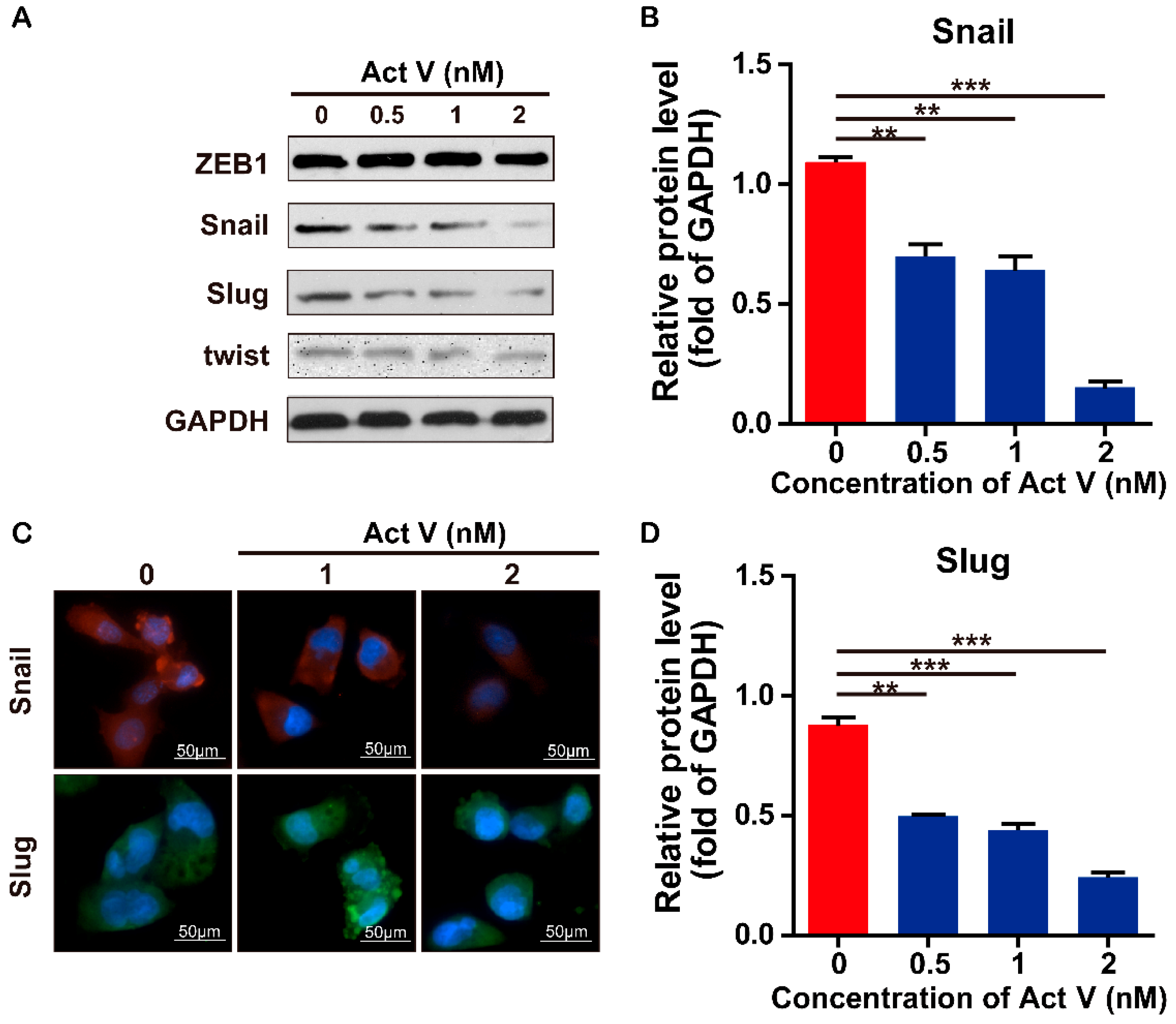 Marinedrugs 17 00305 g008