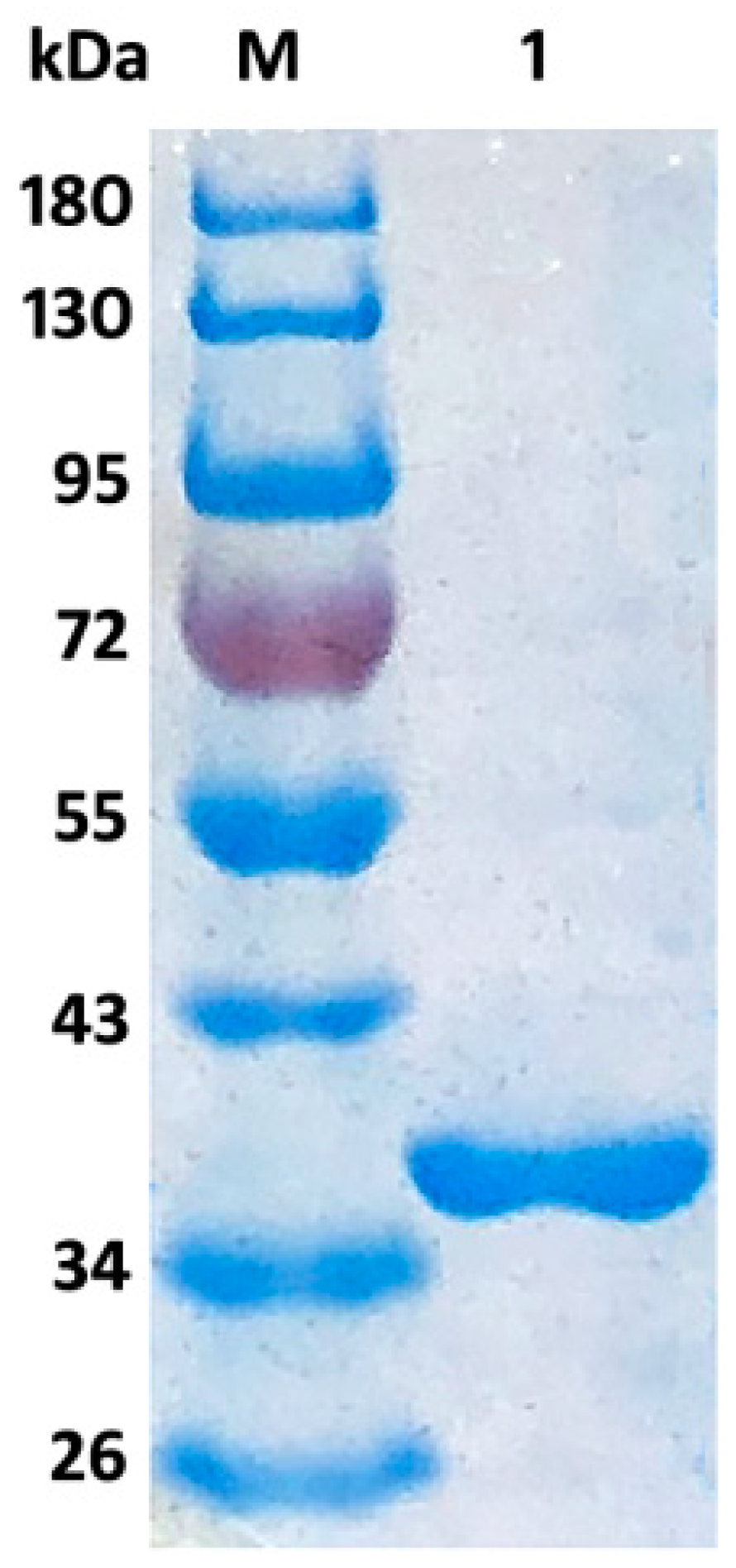 Marinedrugs 17 00308 g003 Marinedrugs 17 00308 g003