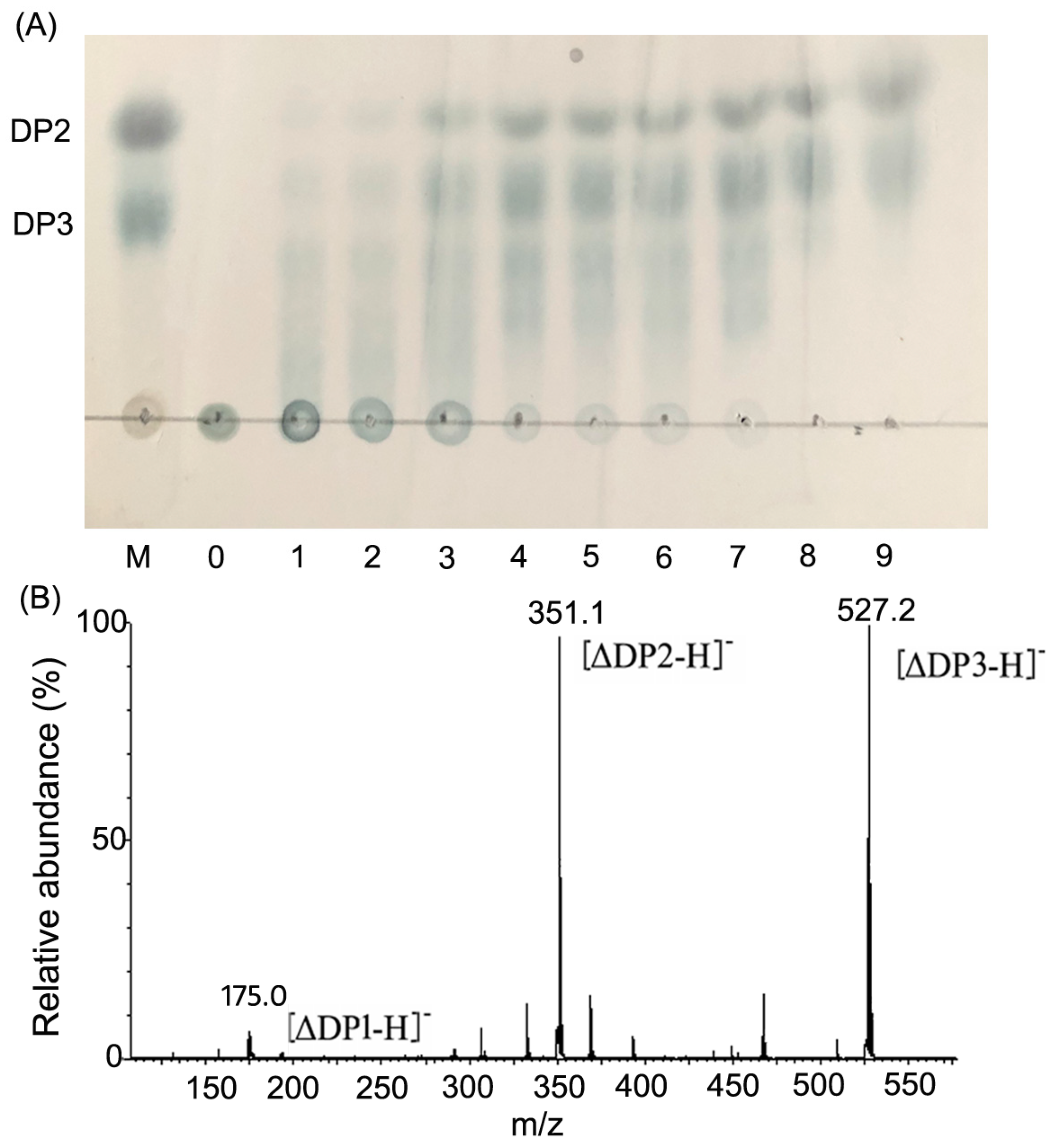 Marinedrugs 17 00308 g007 Marinedrugs 17 00308 g007