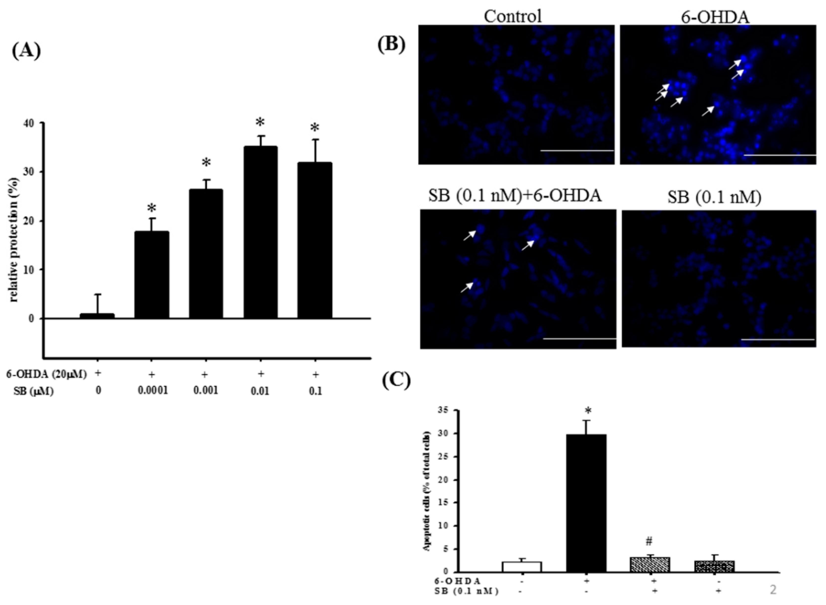 Marinedrugs 17 00315 g002